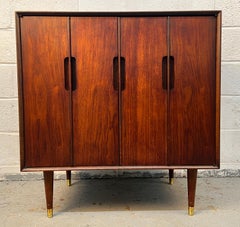Unique Mid-Century Modern Stereo Cabinet