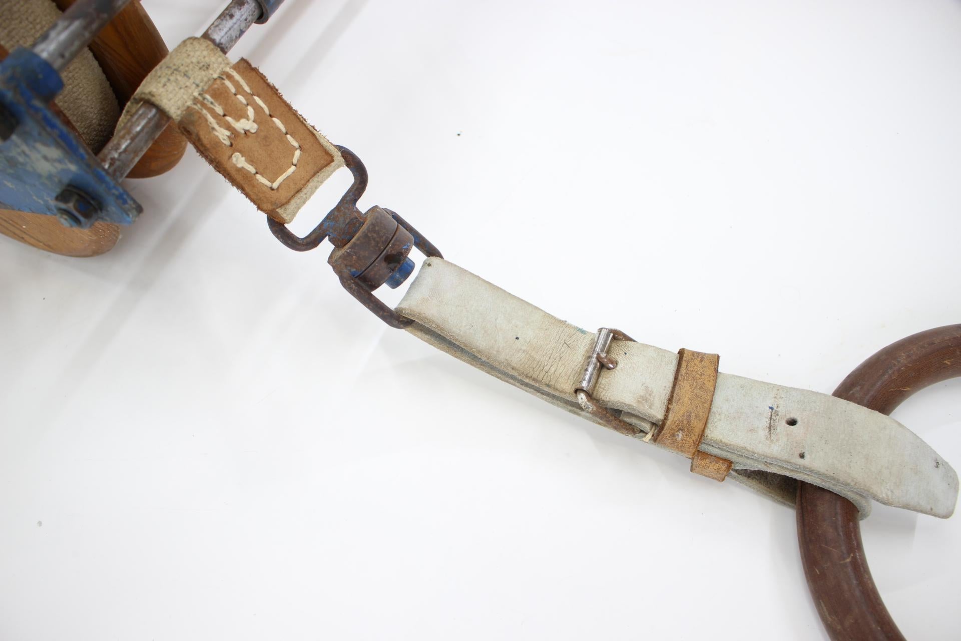 Mid-20th Century Unique Mid Century Sport Gymnastic Rings, Around 1960s / Czechoslovakia For Sale