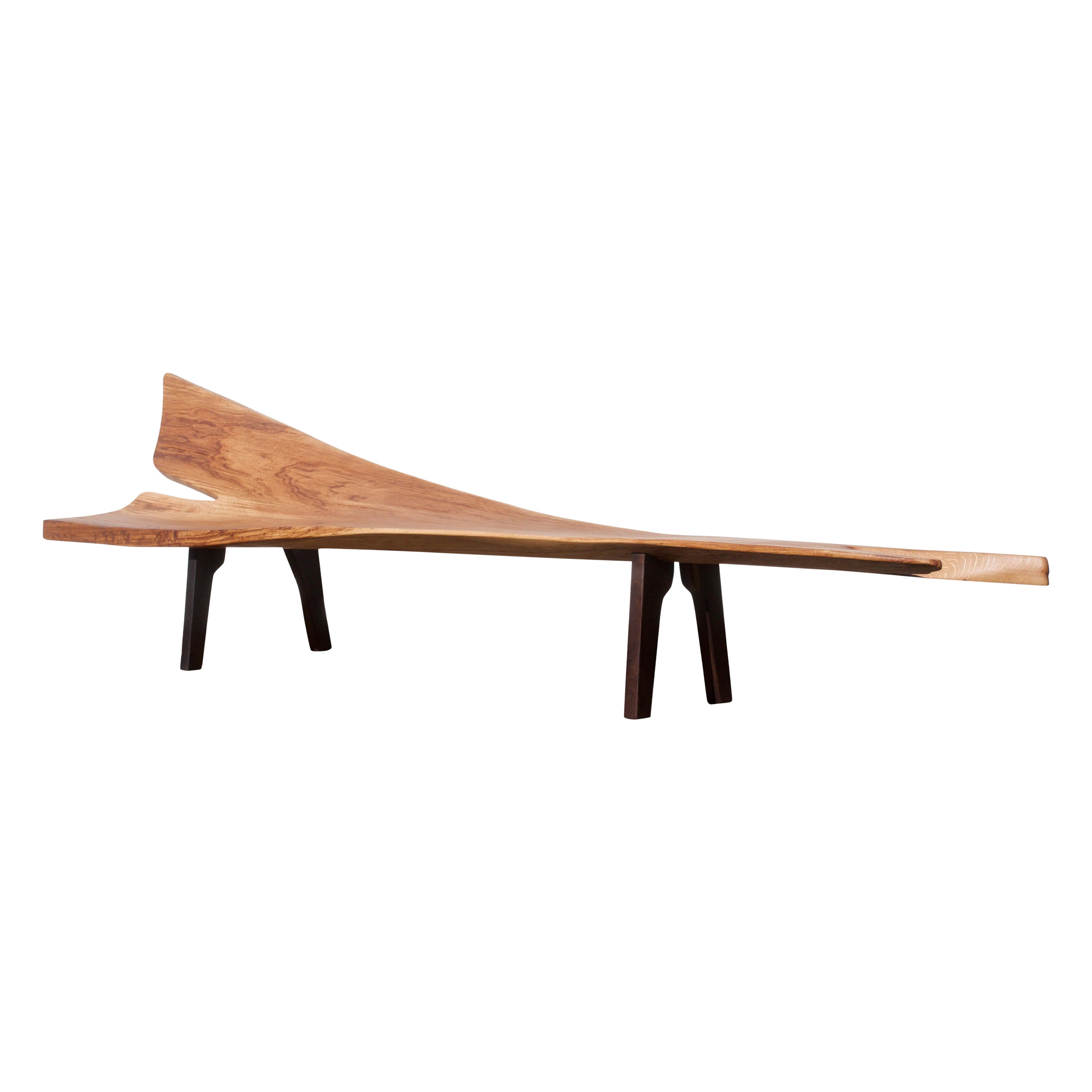 Unique Monumental Bench Sculpted by Jörg Pietschmann