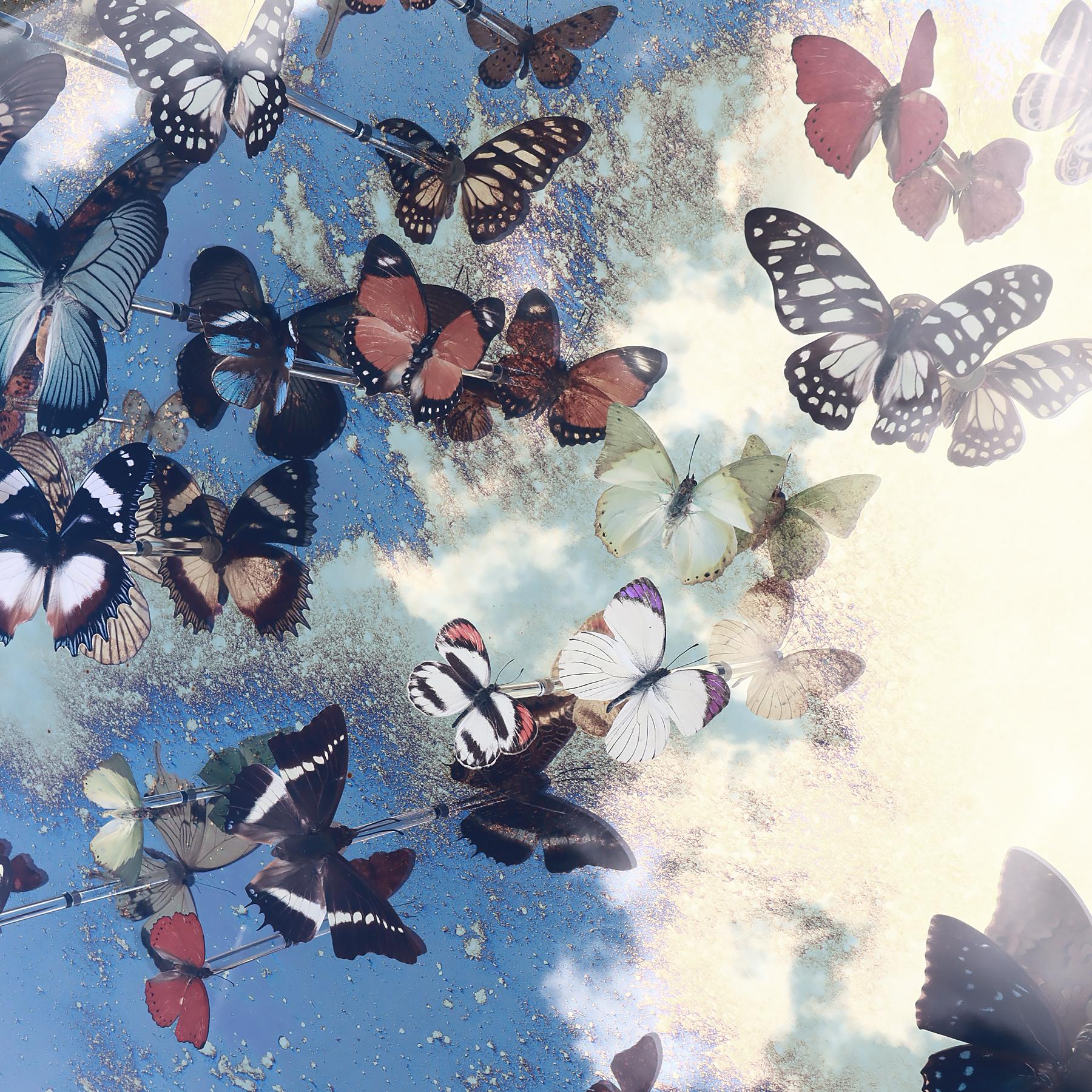 Unique Nick Jeffrey gold leaf mirrored butterfly installation artwork  3