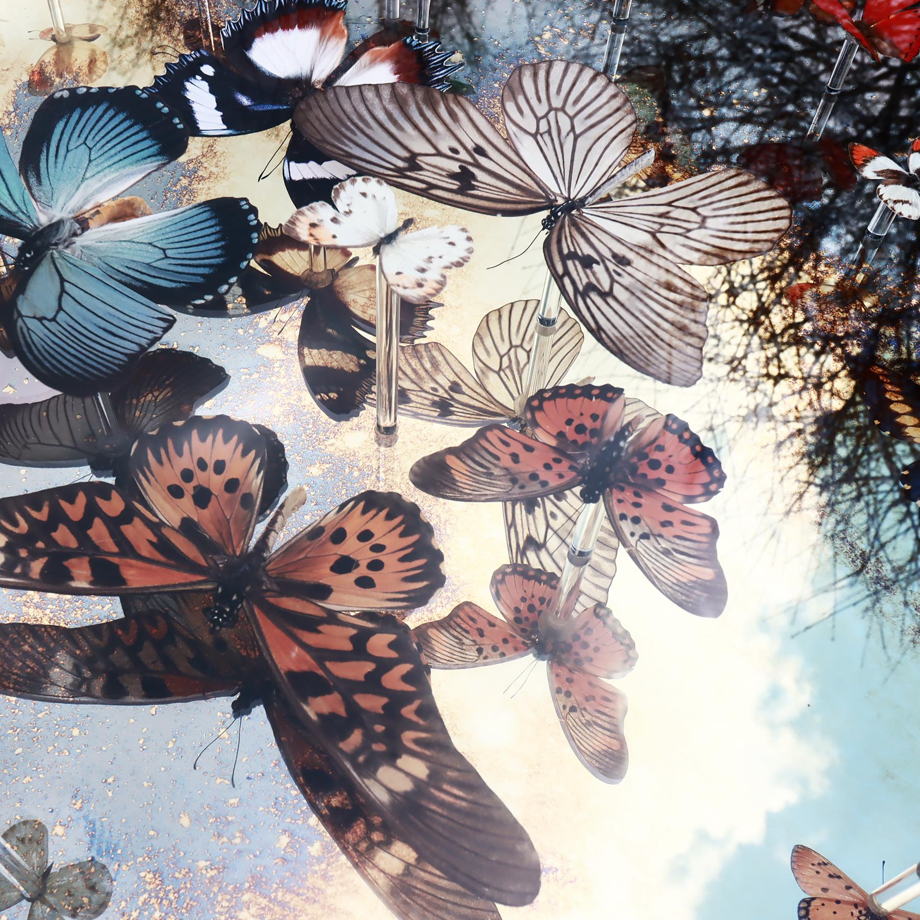 Unique Nick Jeffrey gold leaf mirrored butterfly installation artwork  4