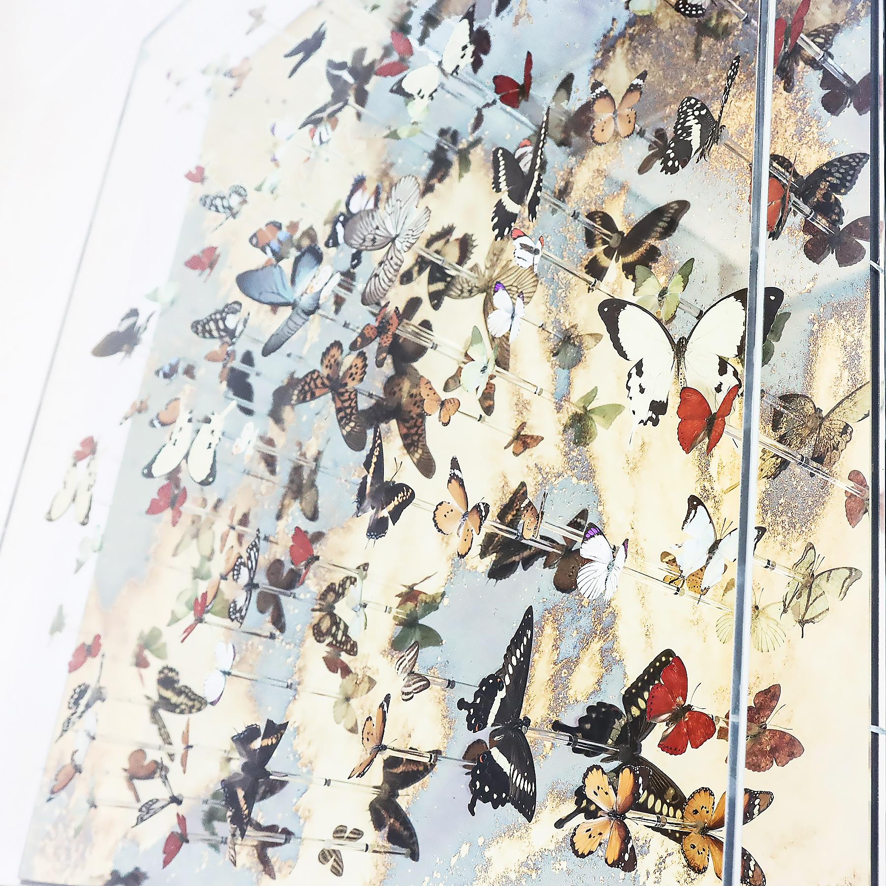 British Unique Nick Jeffrey gold leaf mirrored butterfly installation artwork 