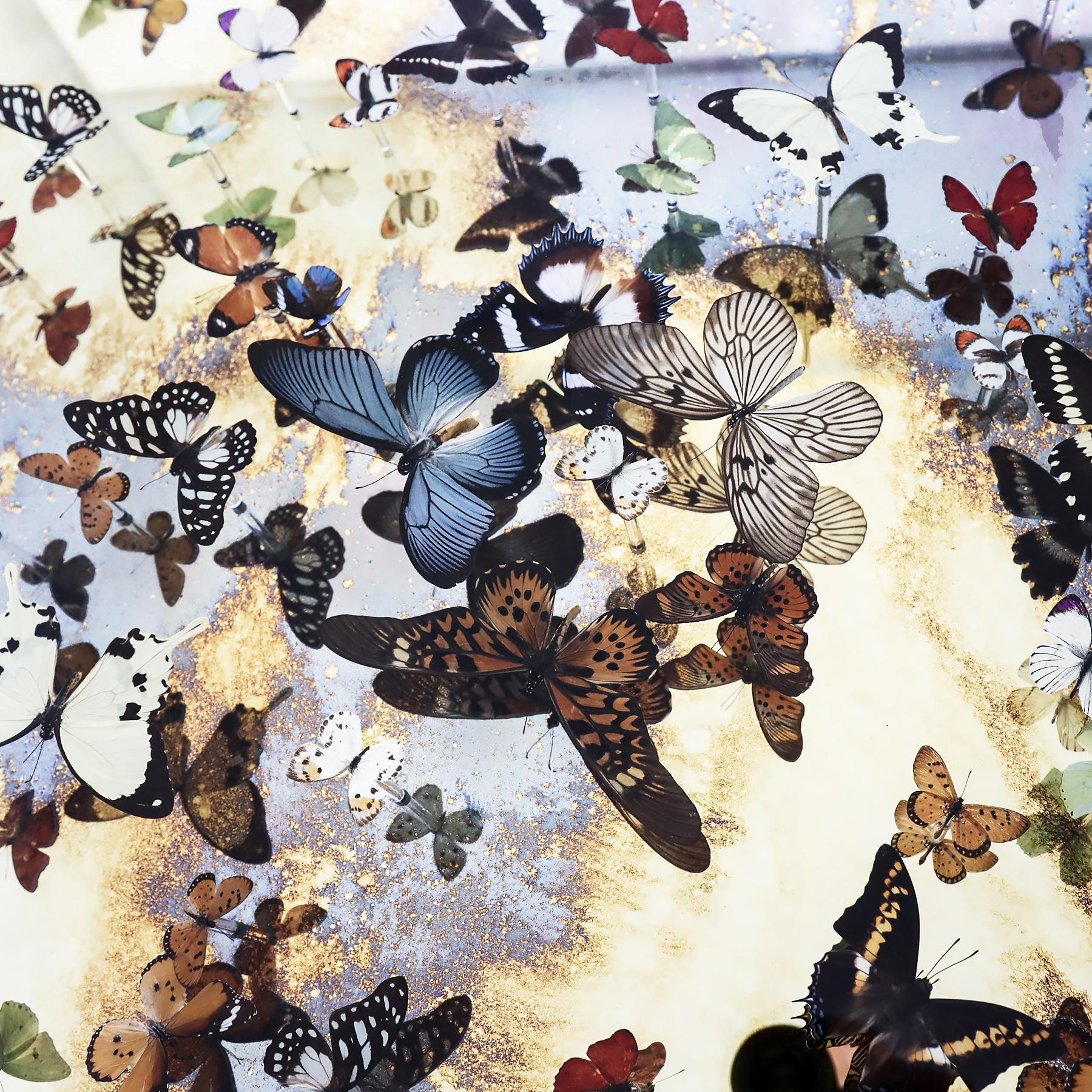 Contemporary Unique Nick Jeffrey gold leaf mirrored butterfly installation artwork 