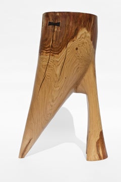 Einzigartige Skulptur Signiert von Jörg Pietschmann