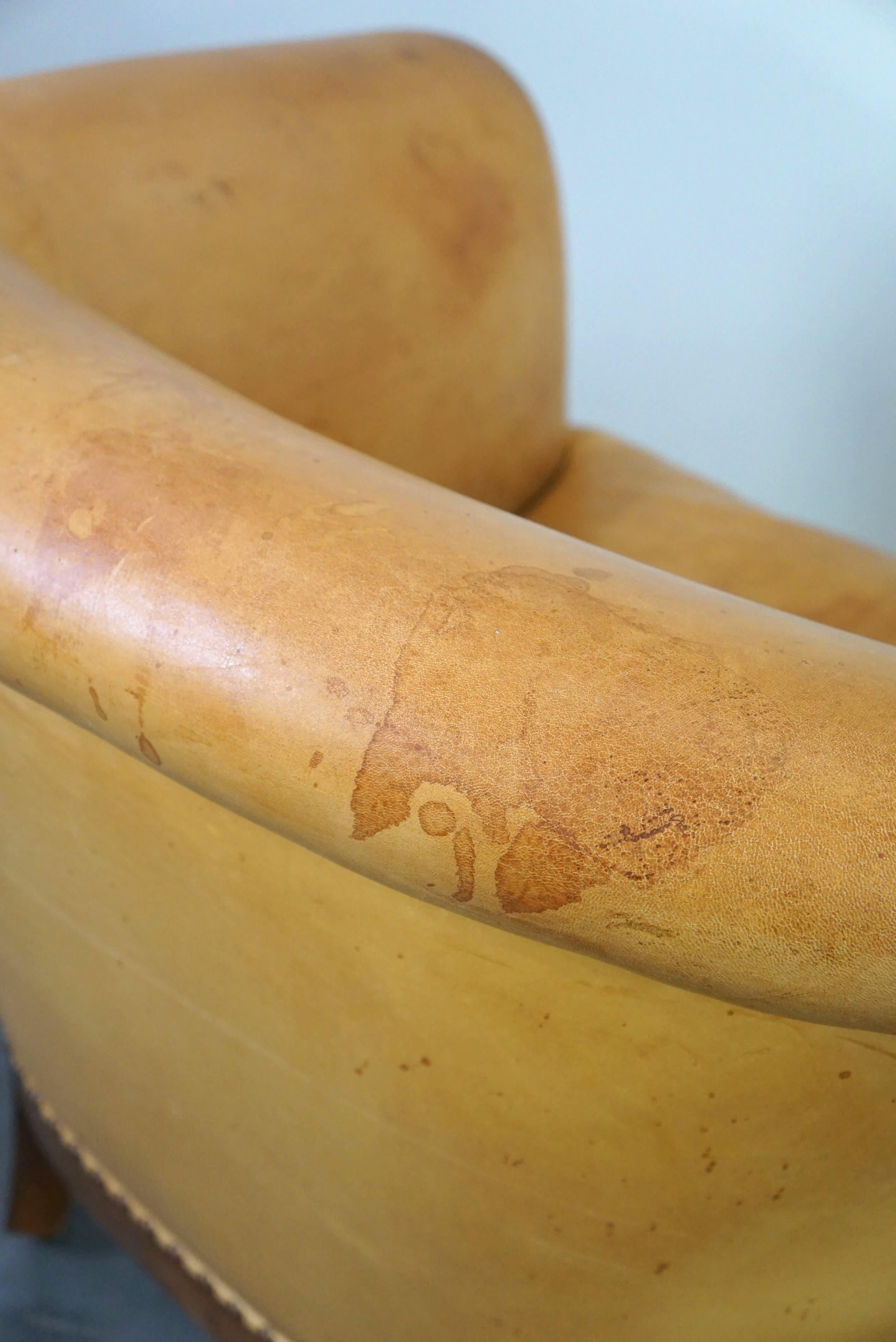 Ensemble ancien unique de 2 fauteuils club et d'un canapé en cuir couleur cognac en vente 10