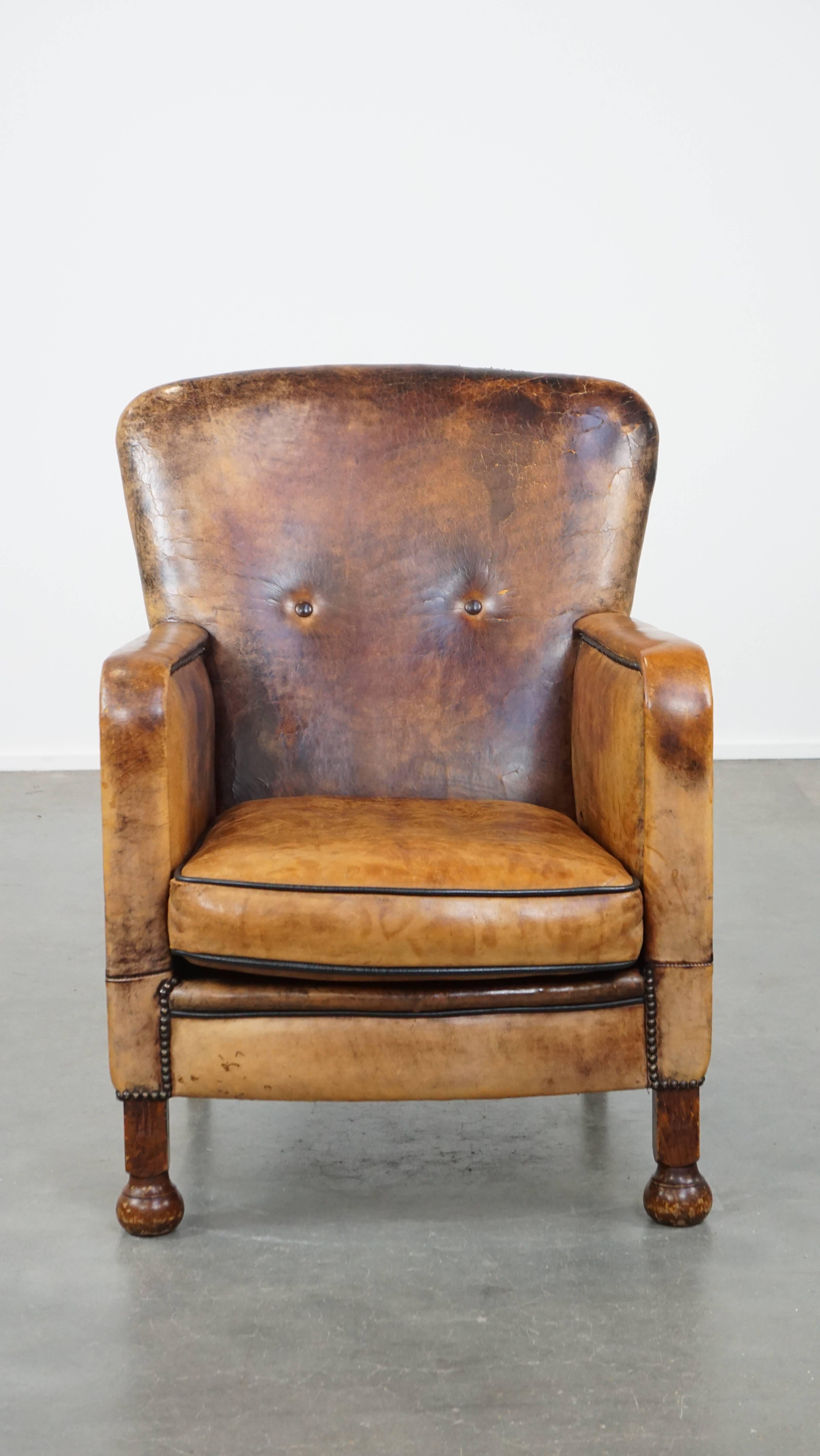 This stunning sheepskin leather armchair is a unique eye-catcher that, in our opinion, should not be missing from any interior. Its warm colors and sleek finish give it a classic coziness and a touch of luxury. The armchair features a loose seat