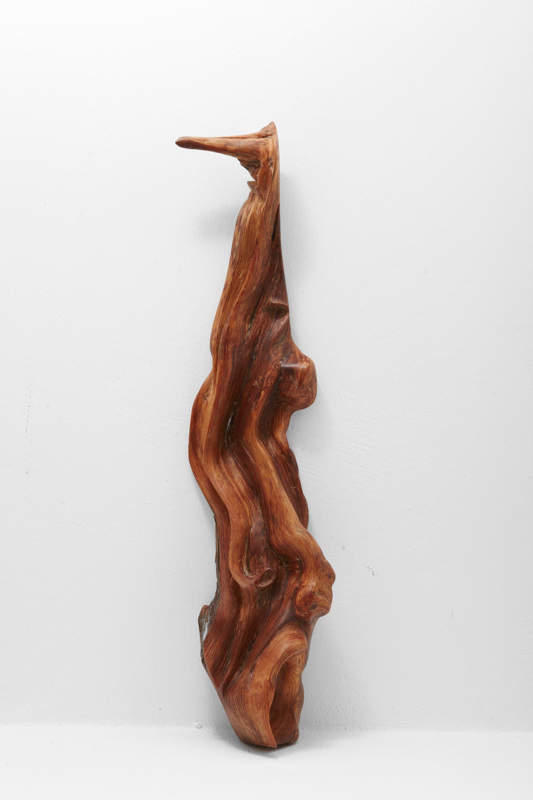 Unique sculpture signed by Jörg Pietschmann.
Materials: Olive wood.
Measures: H 14 x W 63 x D 13 cm.

In Pietschmann’s sculptures, trees that for centuries were part of a landscape and founded in primordial forces tell stories inscribed in the