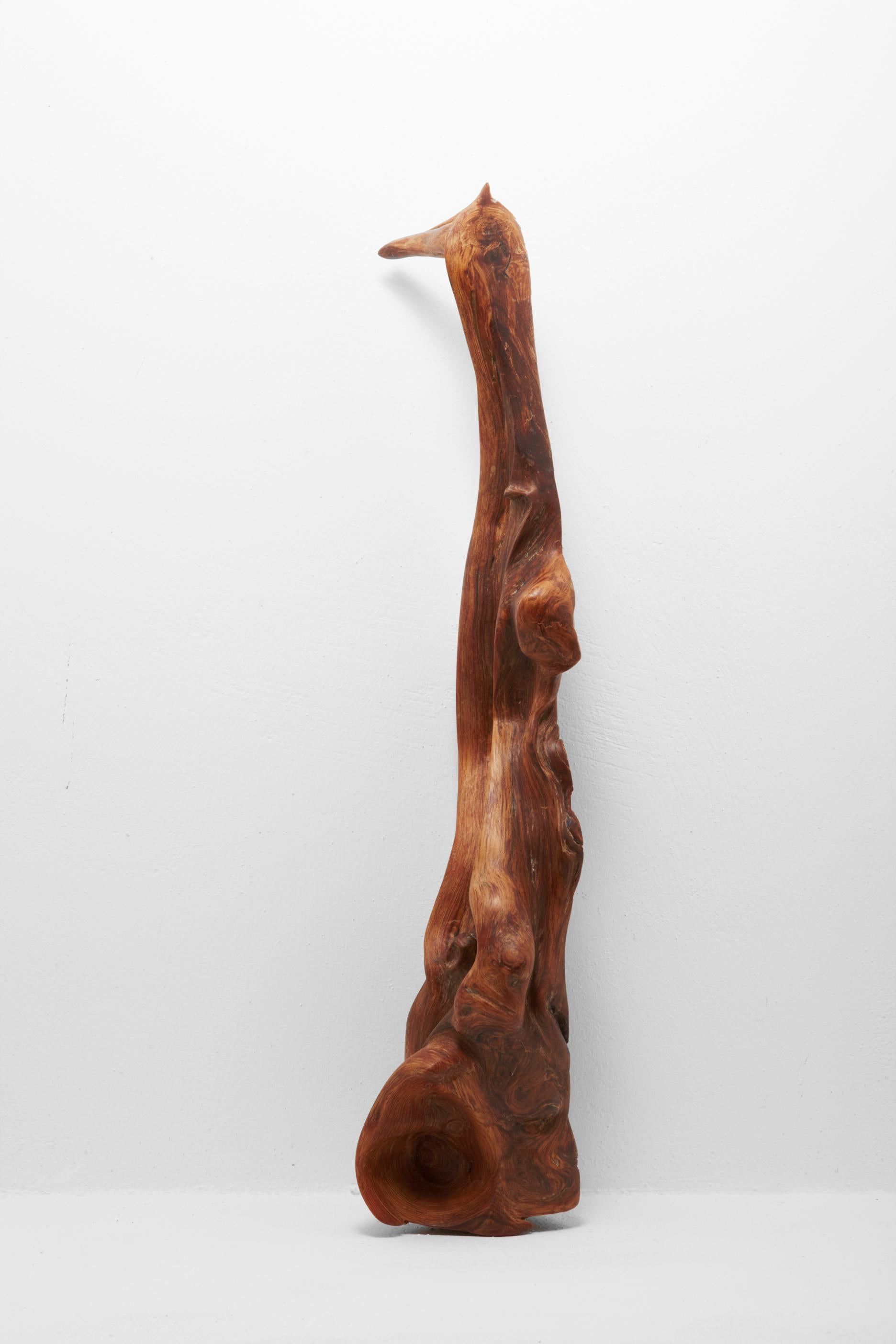 Organic Modern Unique Olive Wood Sculpture Signed by Jörg Pietschmann