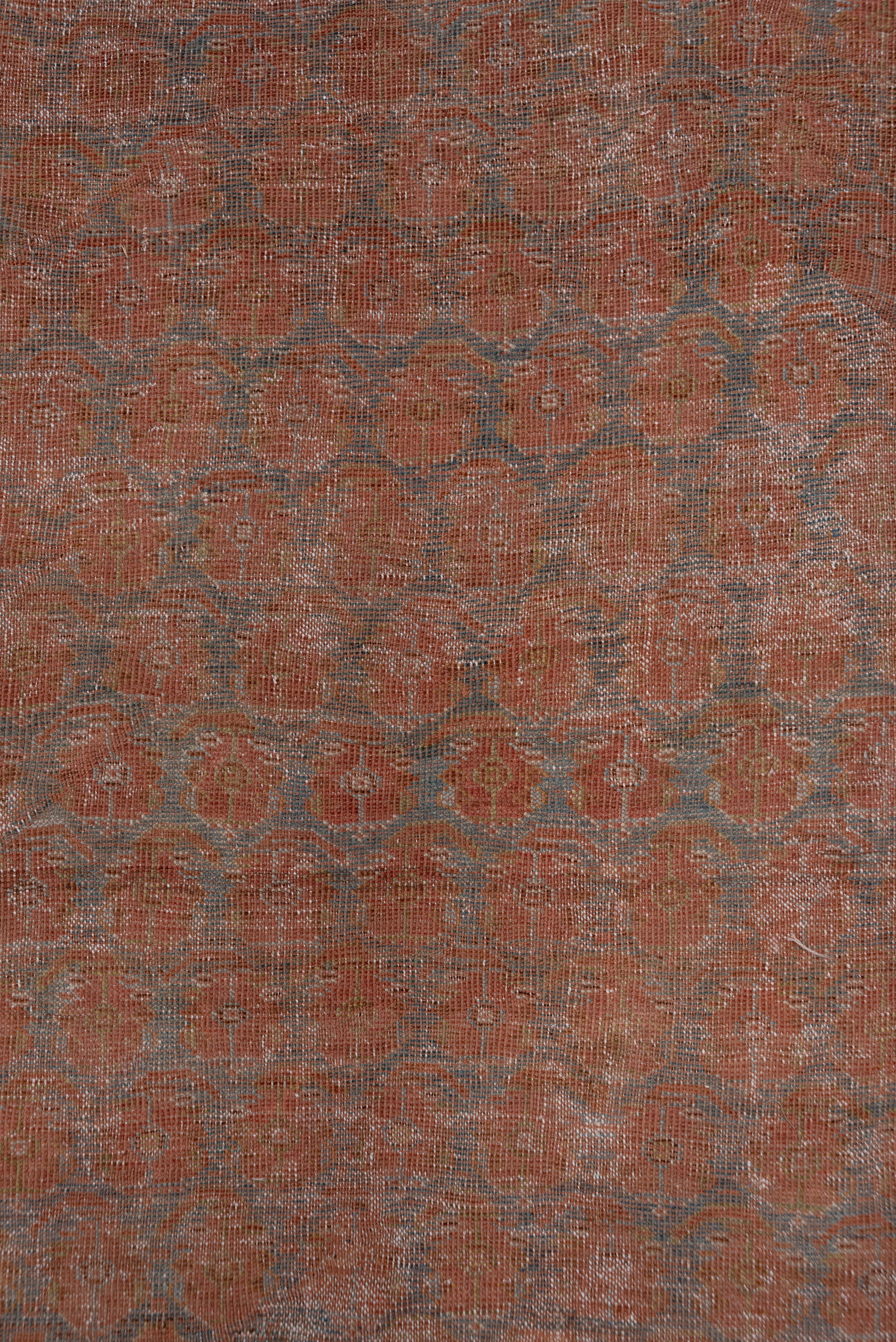 Wool Unique Persian Afshar Gallery Rug, Allover Field, Soft Blue & Orange Tones For Sale