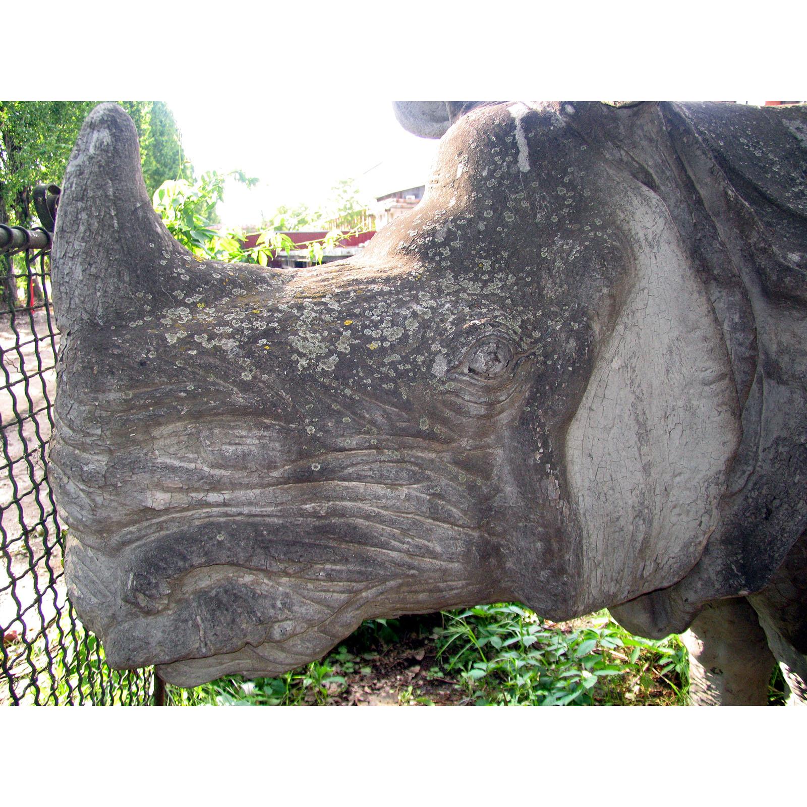 Unique Piece Huge Garden Sculpture Indian Rhinoceros 2