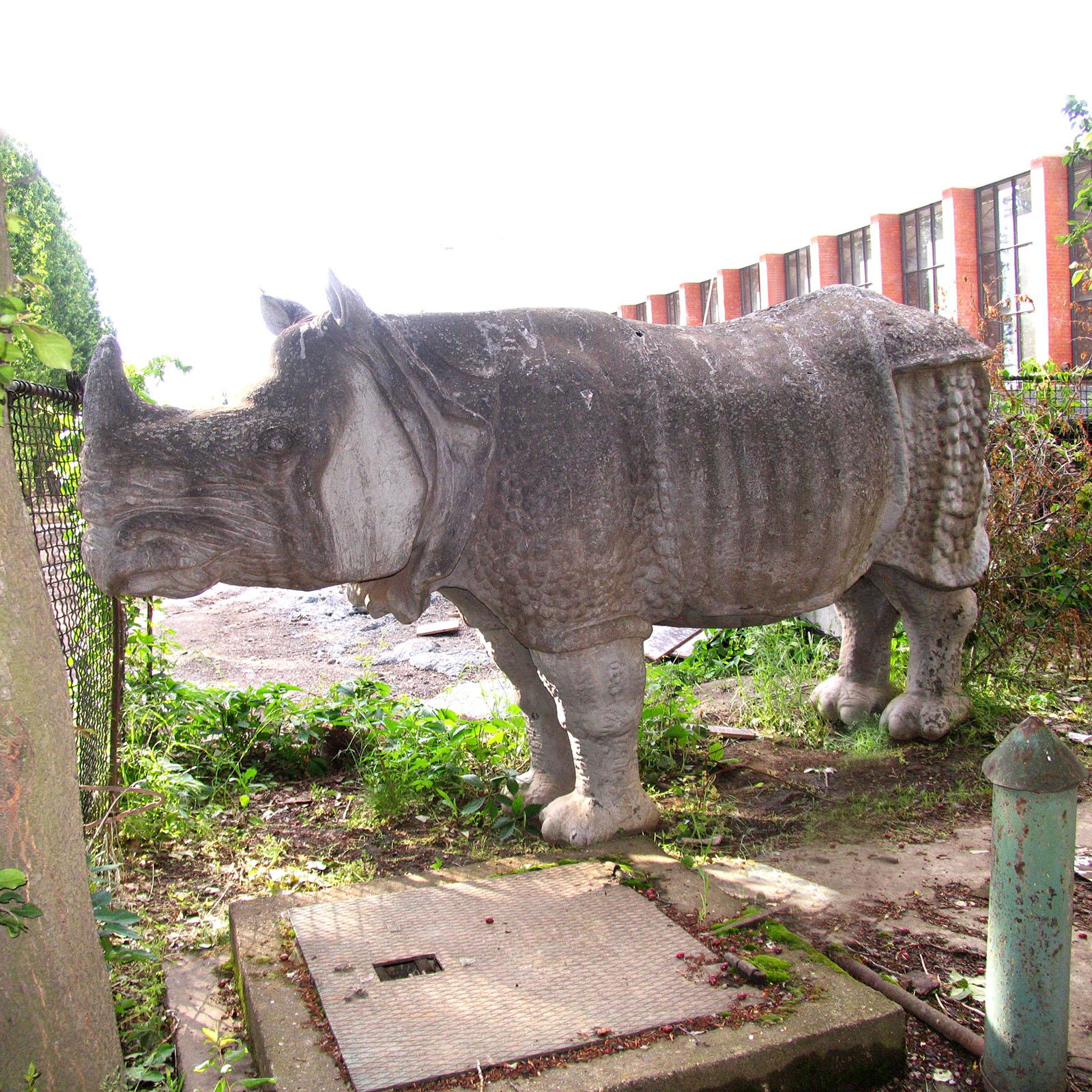 garden rhinoceros