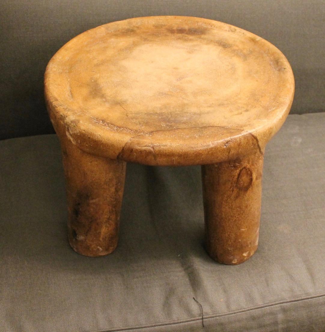 20th Century Unique Piece, Table, Palm Trunk, XXth For Sale