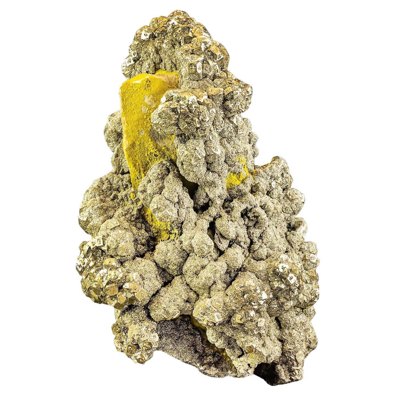Riches cristaux pyrite de couleur dorée uniques sur matrice de limonite d'Afghanistan en vente