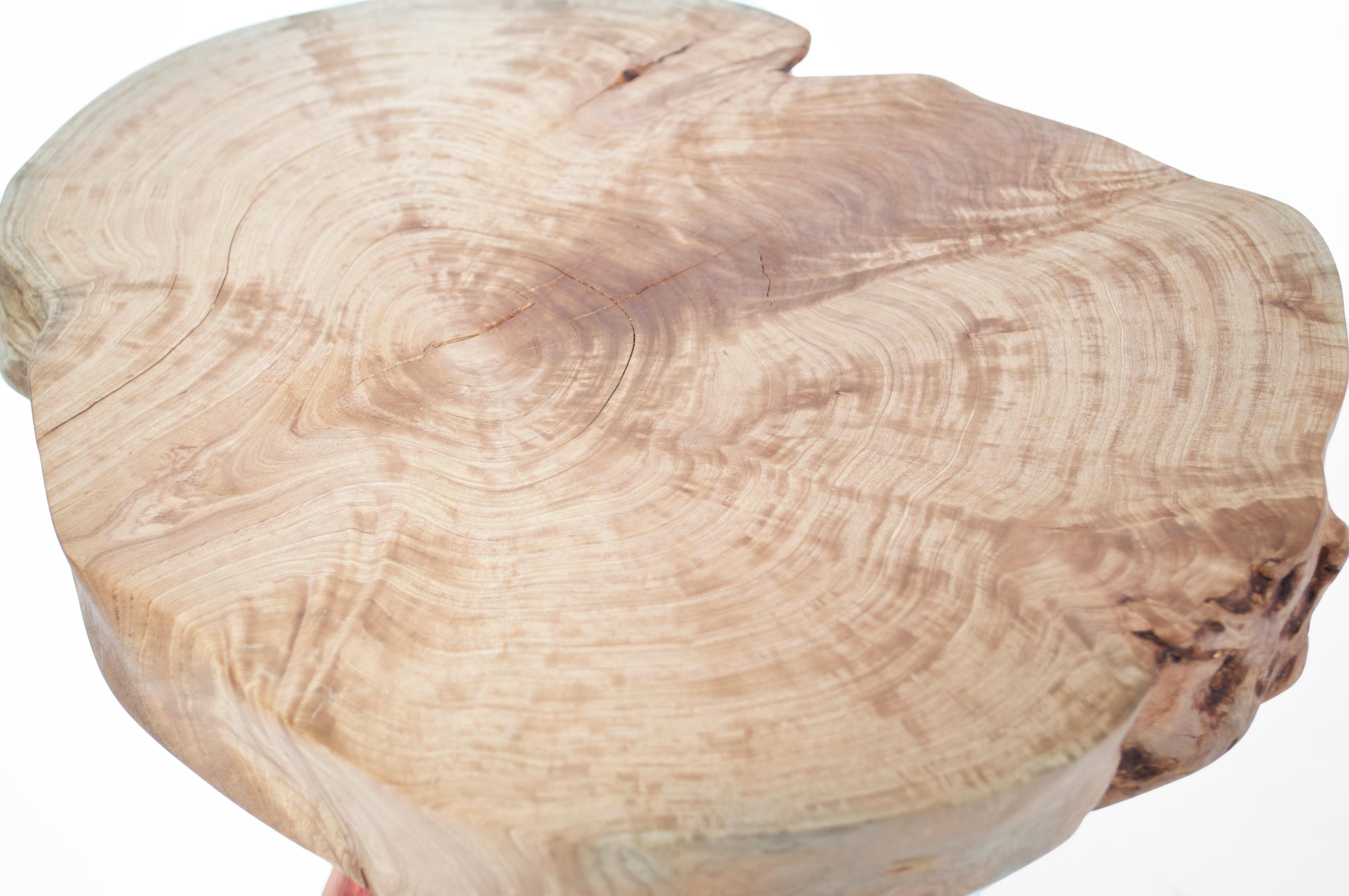 Rosewood Unique Signed Table by Jörg Pietschmann For Sale