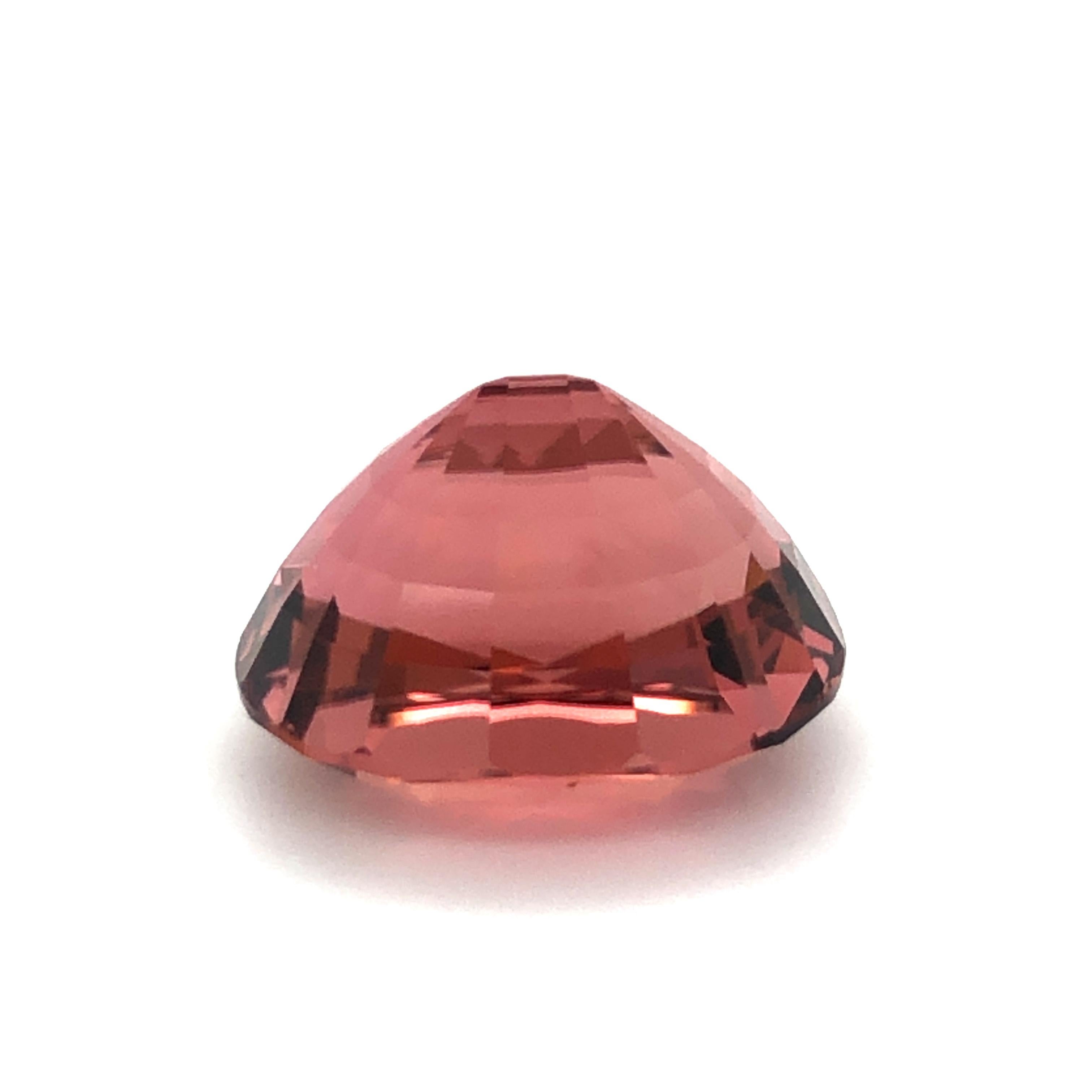 Unique Salmon Coloured Tourmaline of Mighty 22.65 Carats For Sale 4