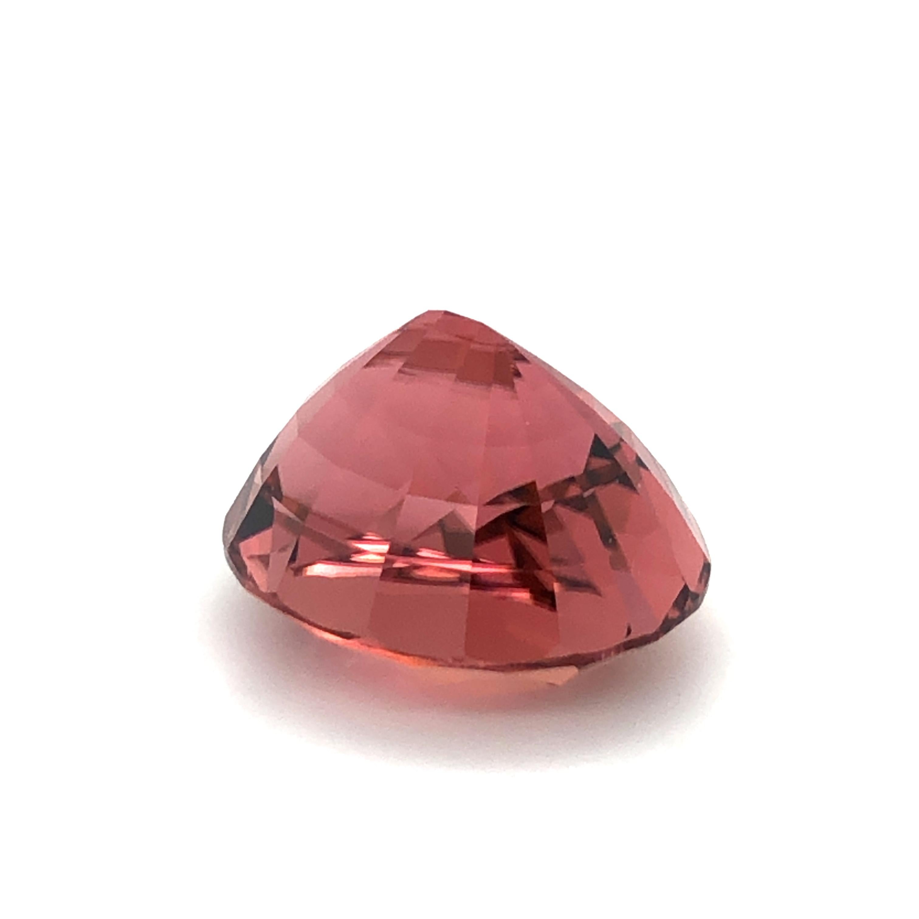 Unique Salmon Coloured Tourmaline of Mighty 22.65 Carats For Sale 6