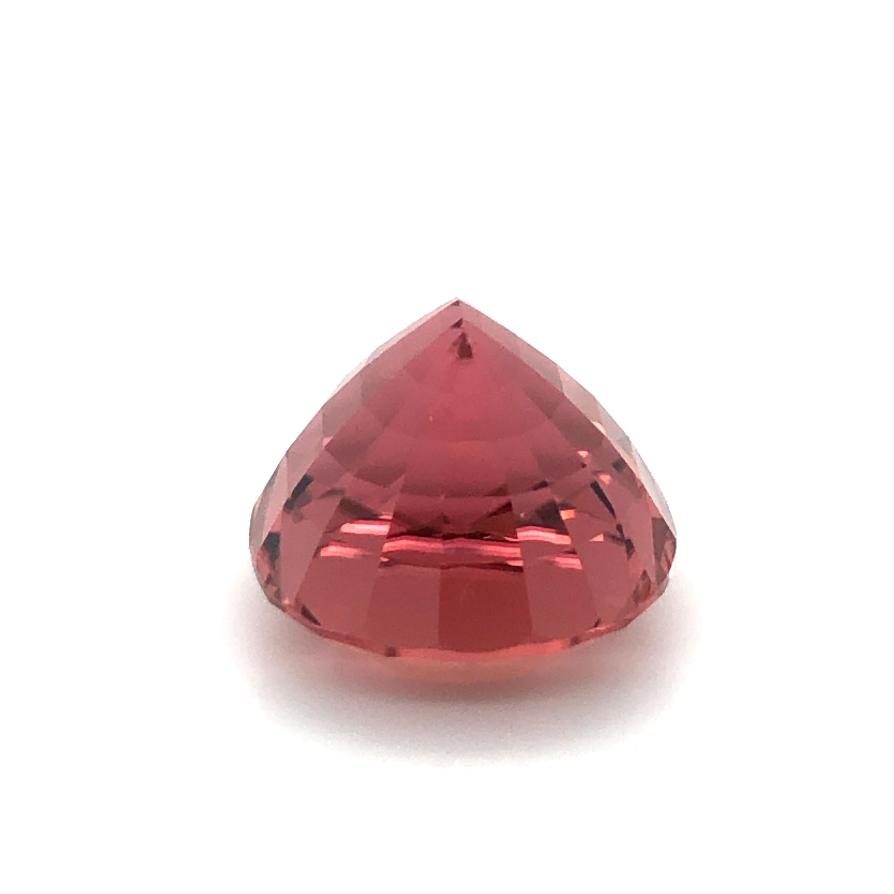 Unique Salmon Coloured Tourmaline of Mighty 22.65 Carats For Sale 7