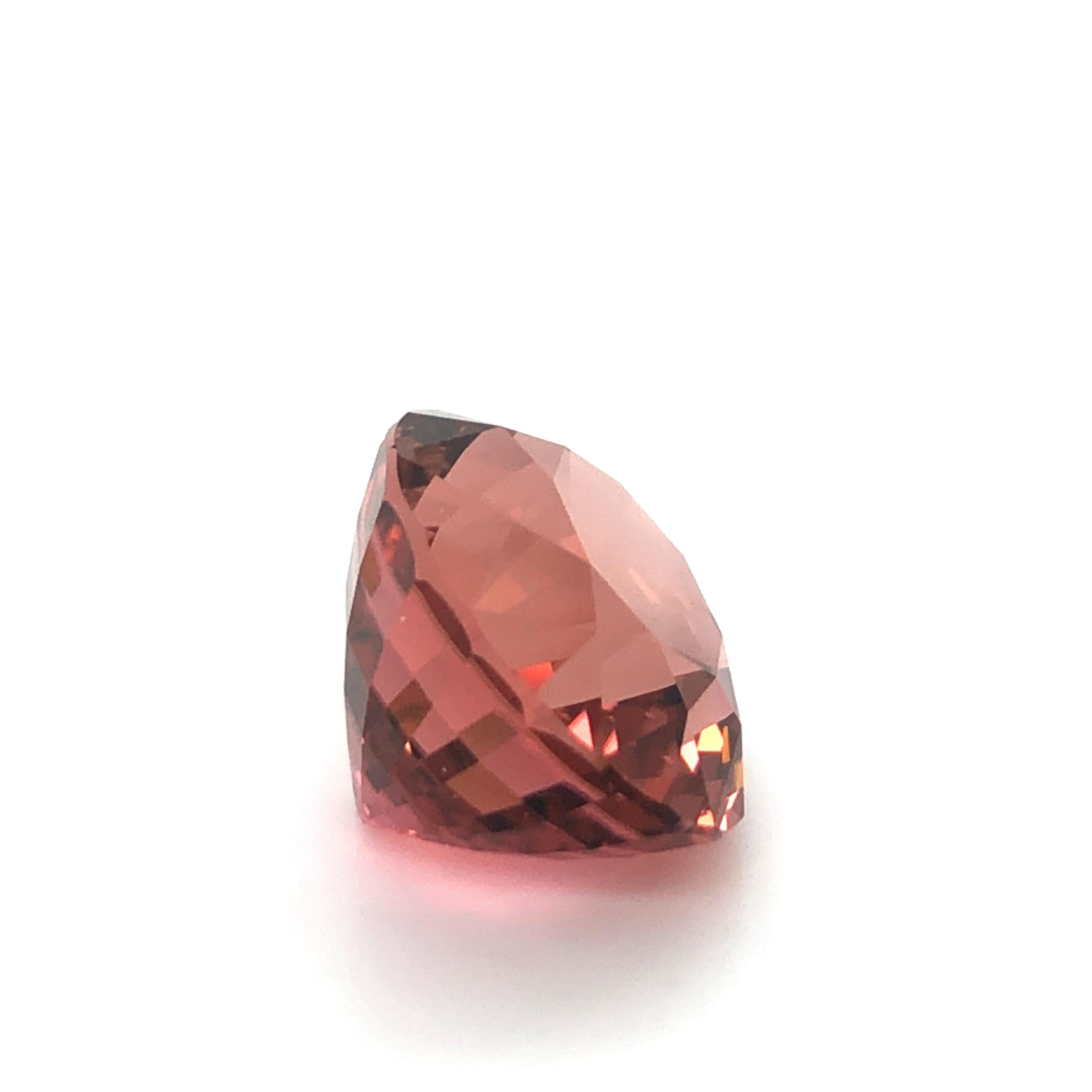 Unique Salmon Coloured Tourmaline of Mighty 22.65 Carats For Sale 2