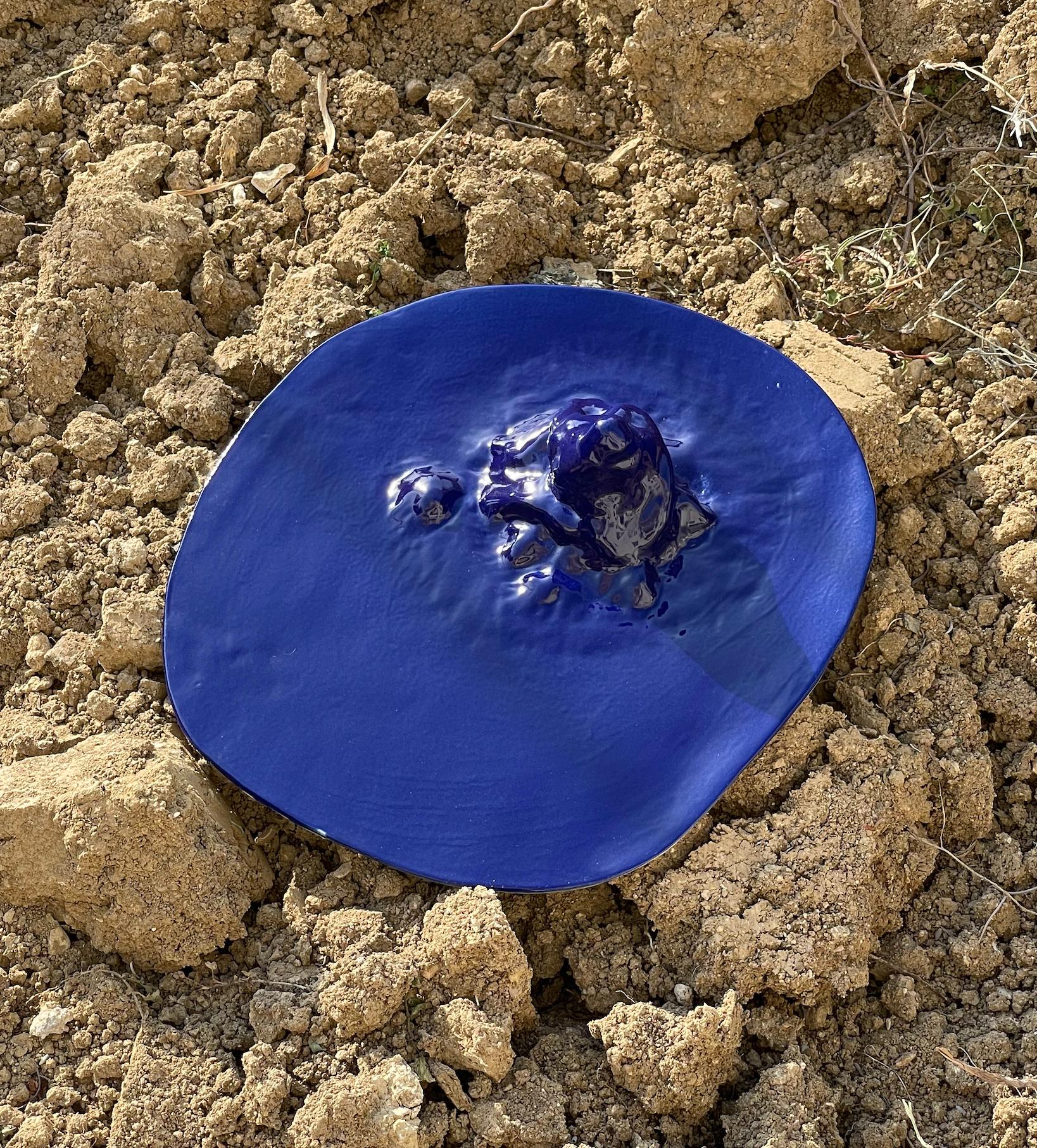 Gongshi-Platten

Handgefertigte, einzigartige, wellenförmige Teller, Objet d'Art in kobaltblau.

Diese skulpturalen Teller sind von den chinesischen 