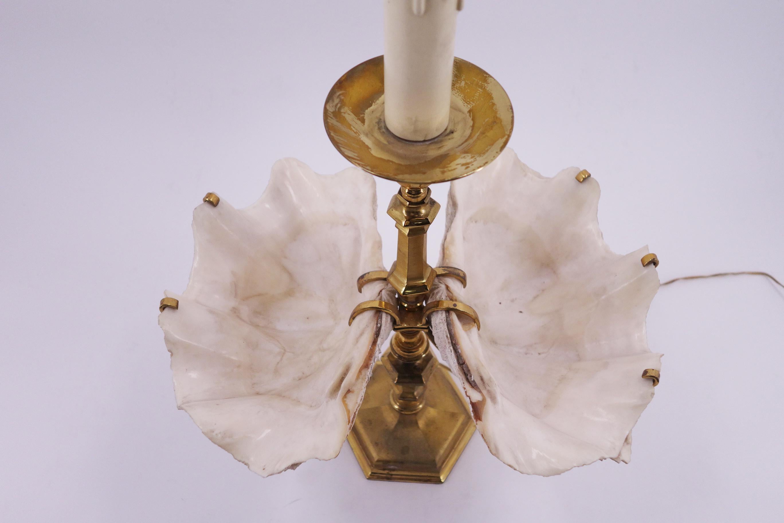 French Unique Sea Shell Table Lamp