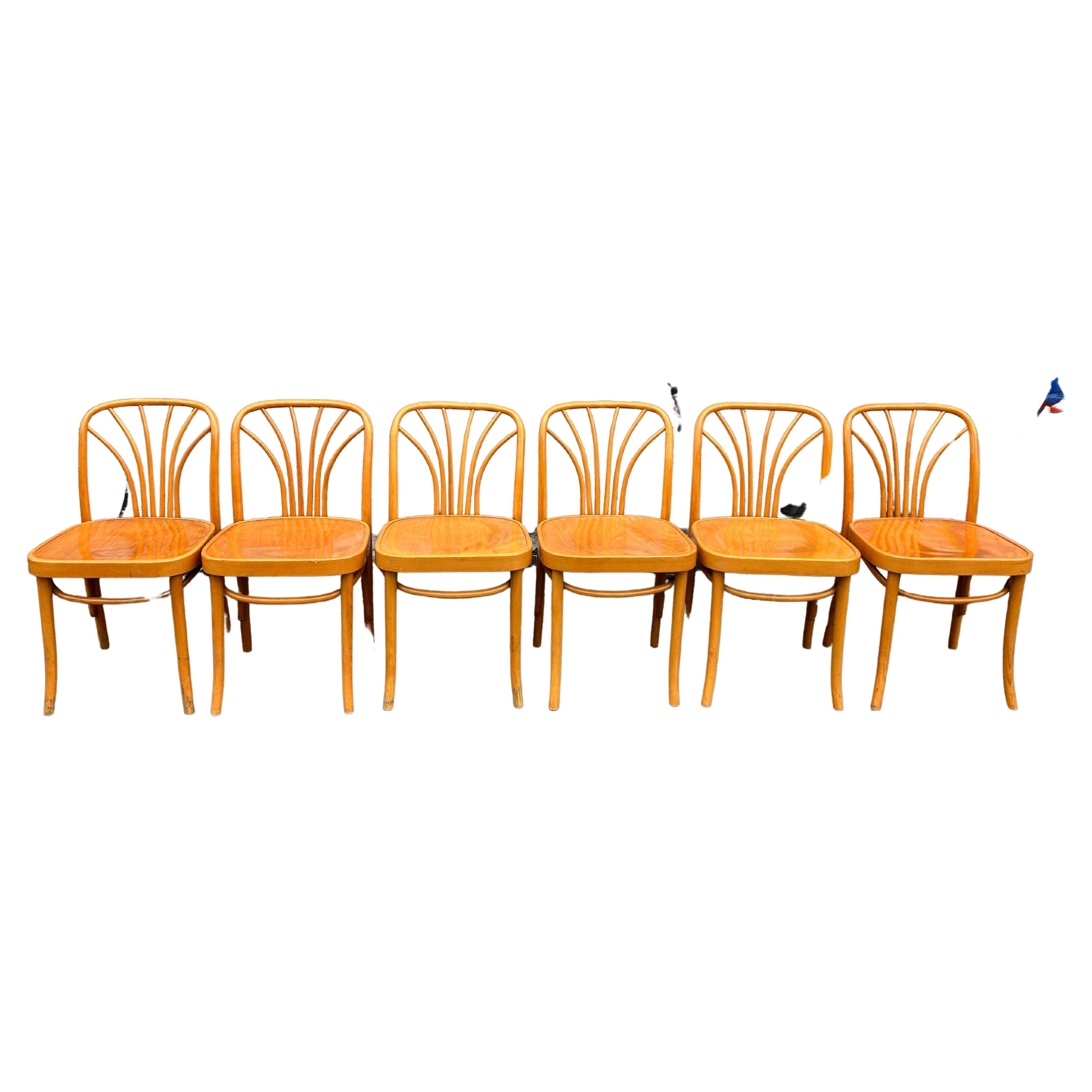 Woodwork Unique Set of 6 Mid-Century Bentwood Dining Chairs Thonet Josef Hoffmann For Sale