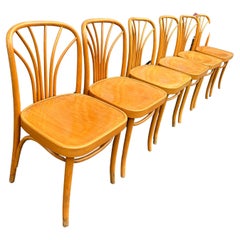Retro Unique Set of 6 Mid-Century Bentwood Dining Chairs Thonet Josef Hoffmann