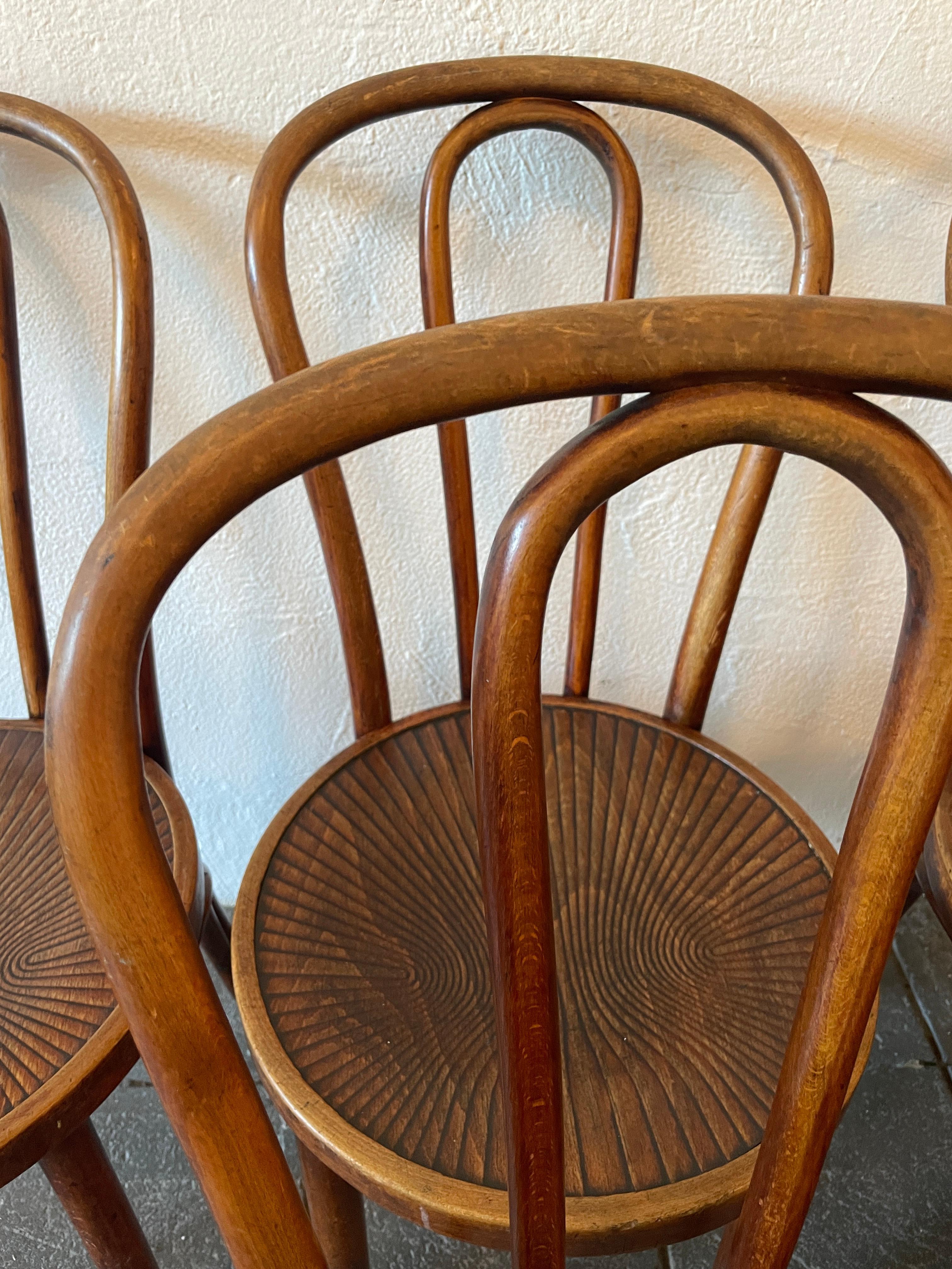 Polish Unique Set of 6 Mid-Century Dining Cafe Bentwood Chairs by Thonet