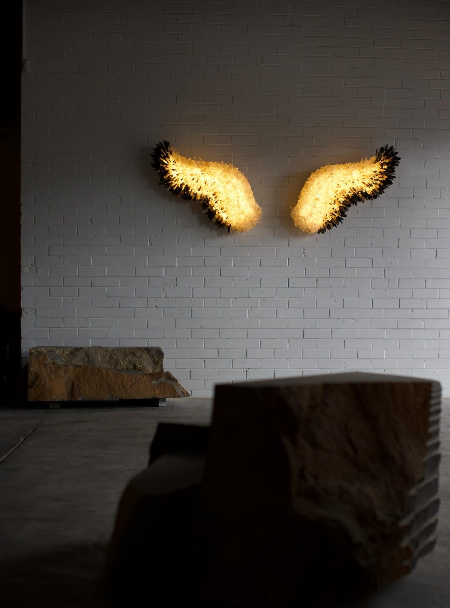 Ensemble unique d'appliques murales à ailes en cristal et laiton de Christopher Boots en vente 5