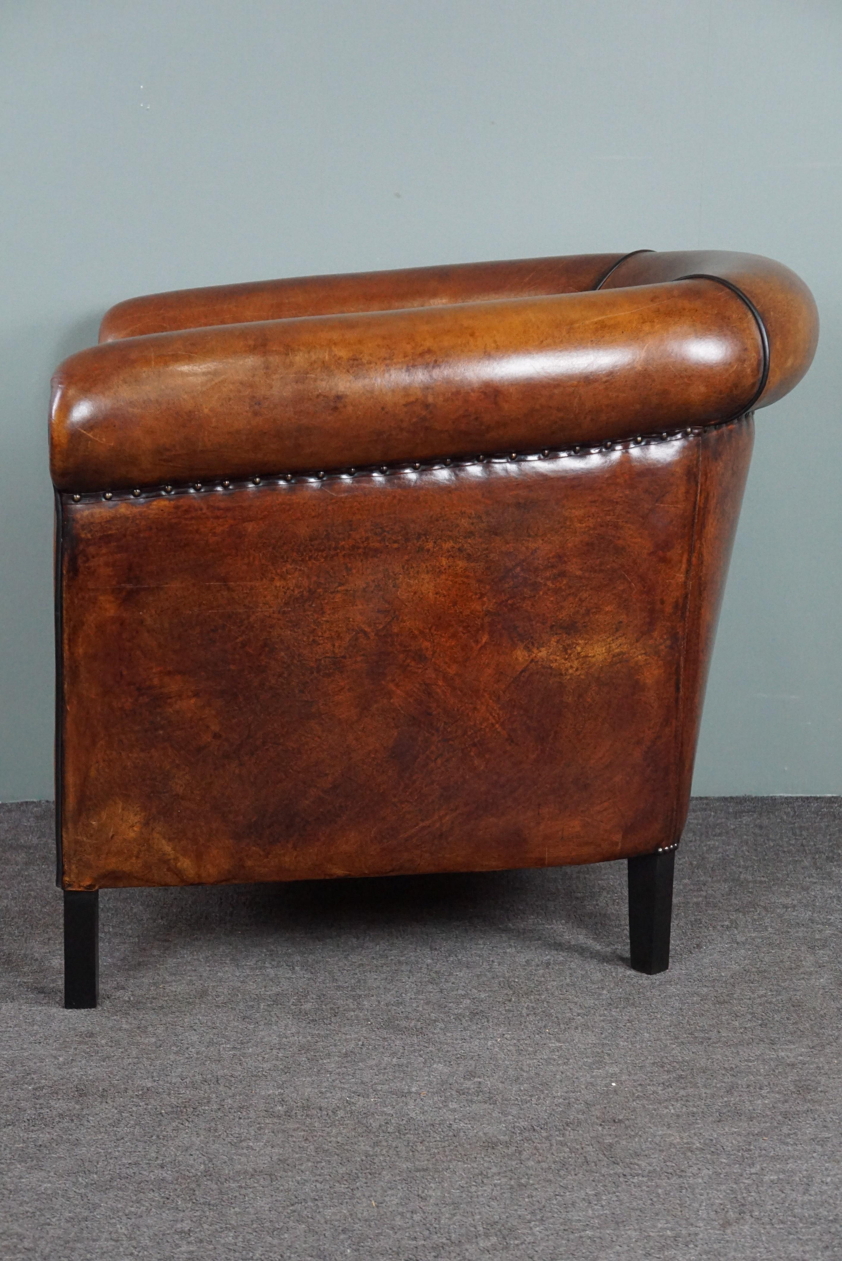 Dutch Unique sheep leather club chair with black piping and decorative nails For Sale