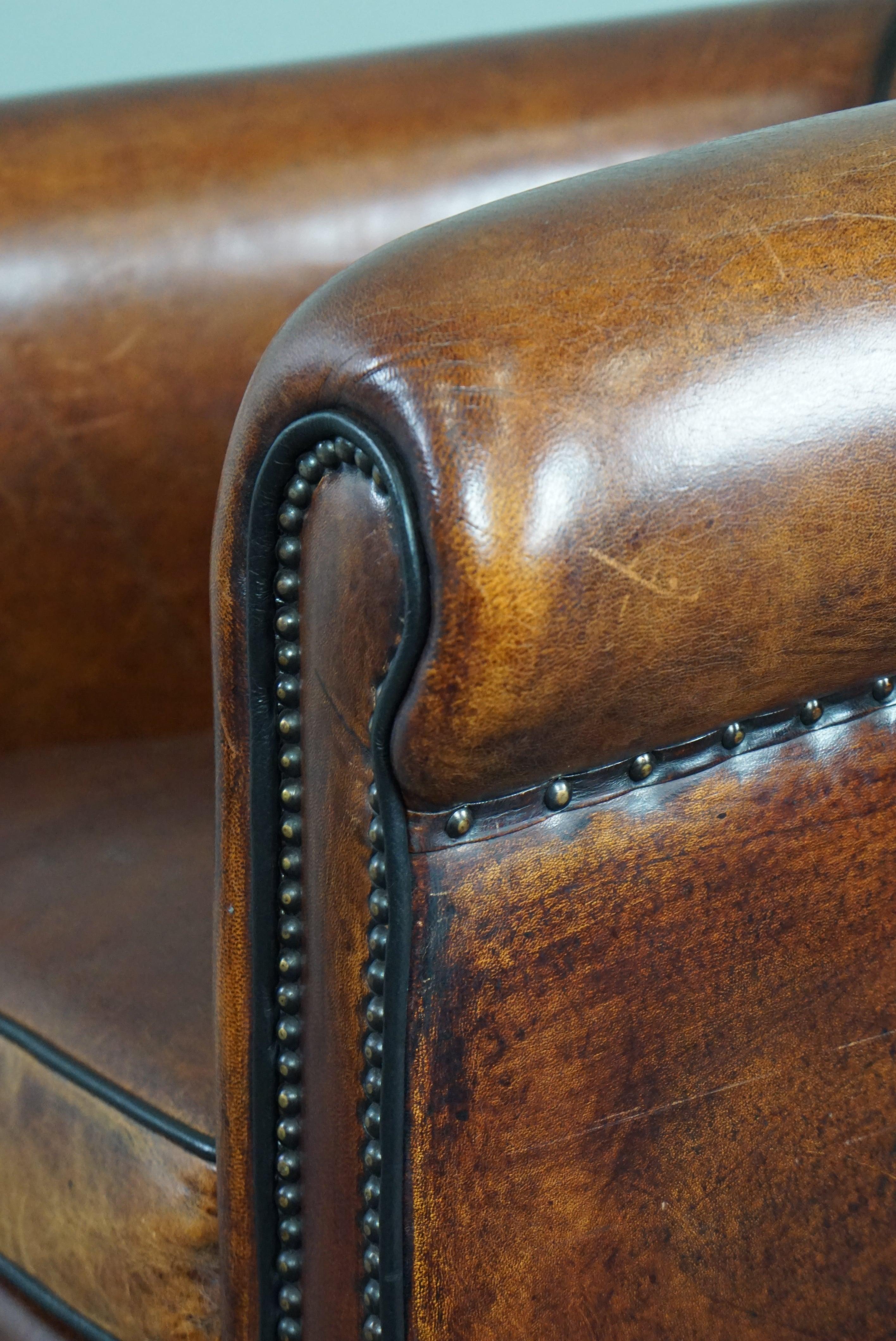 Unique sheep leather club chair with black piping and decorative nails For Sale 2
