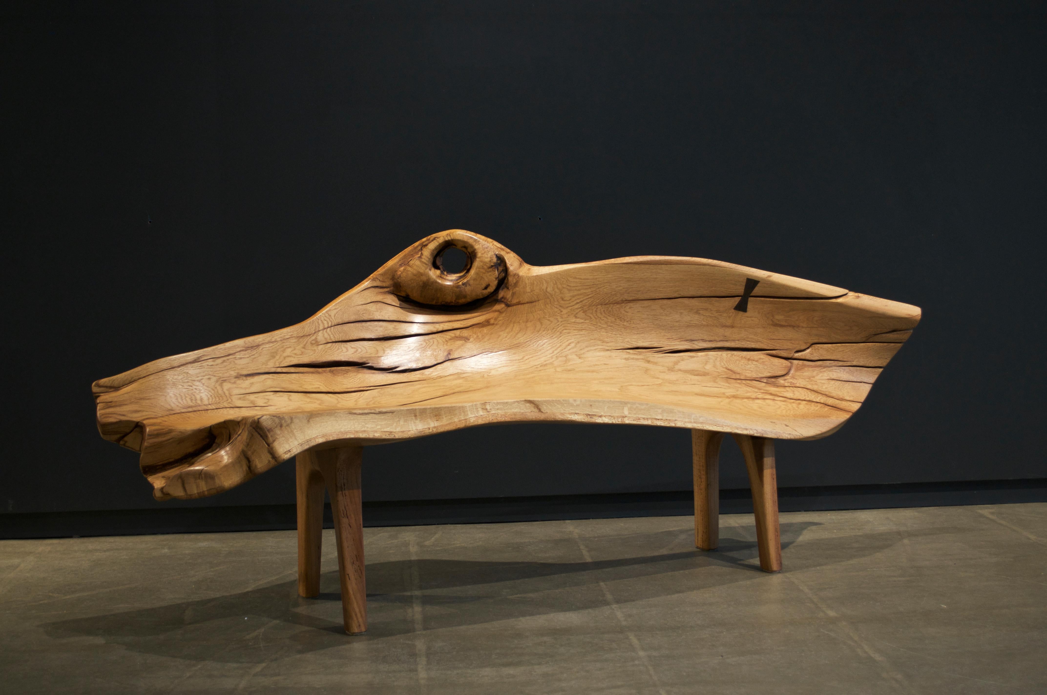 Unique Signed Bench by Jörg Pietschmann For Sale 11