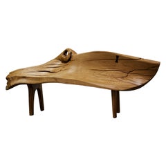 Unique Signed Wood Bench by Jörg Pietschmann