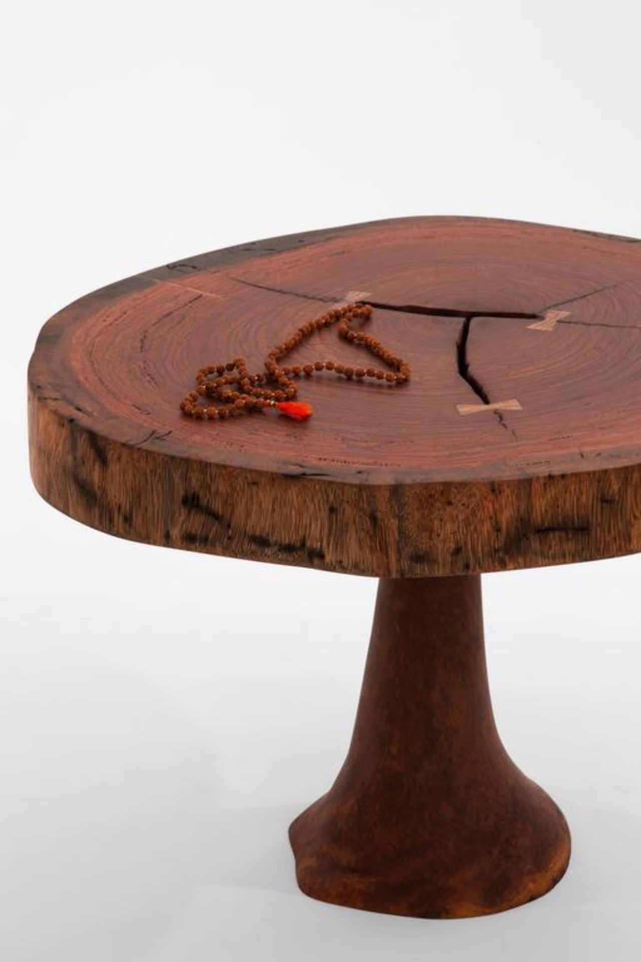 Organic Modern Unique Signed Coffee Table by Jörg Pietschmann For Sale