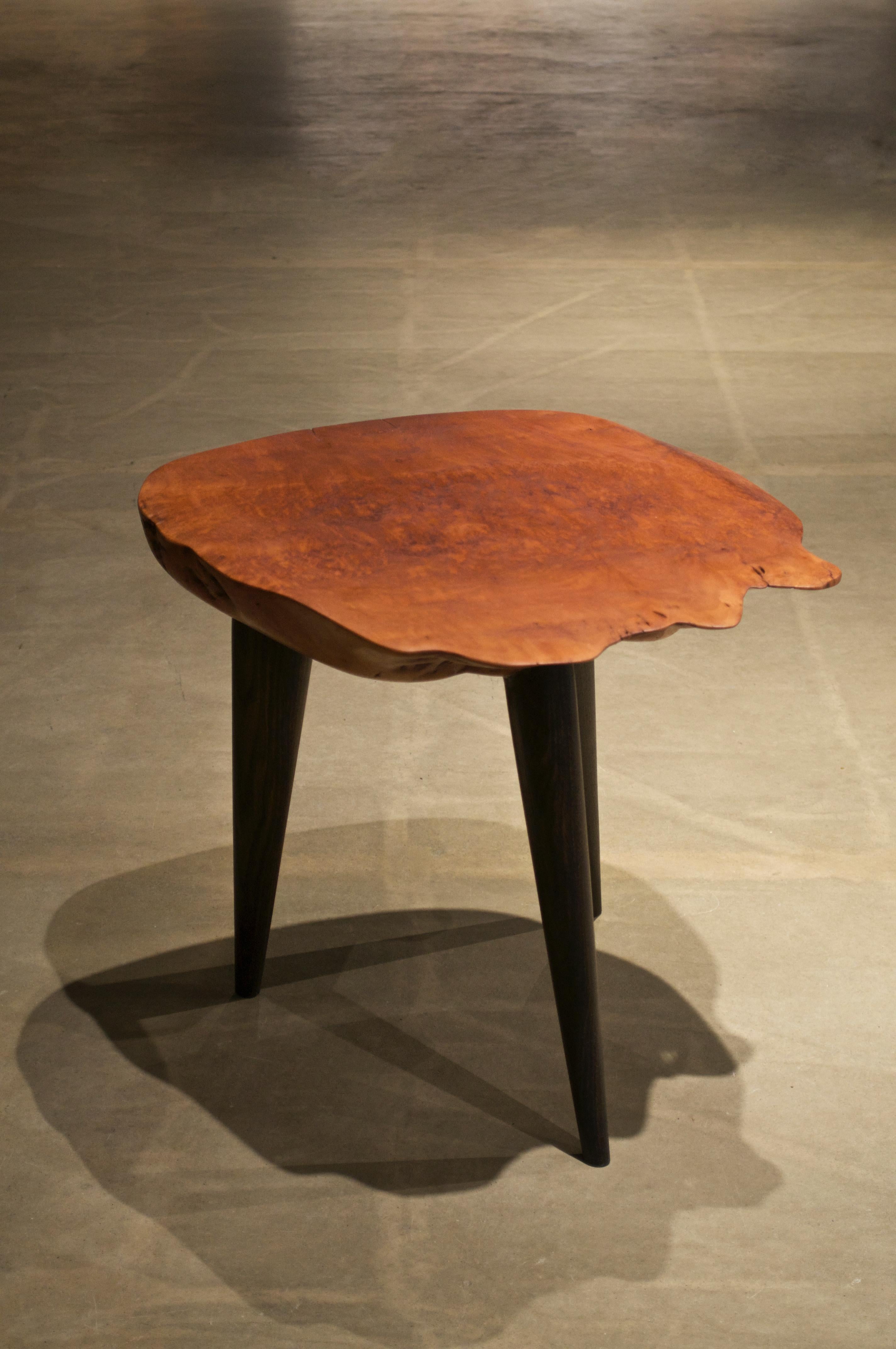 Table unique signée Jörg Pietschmann en vente 1