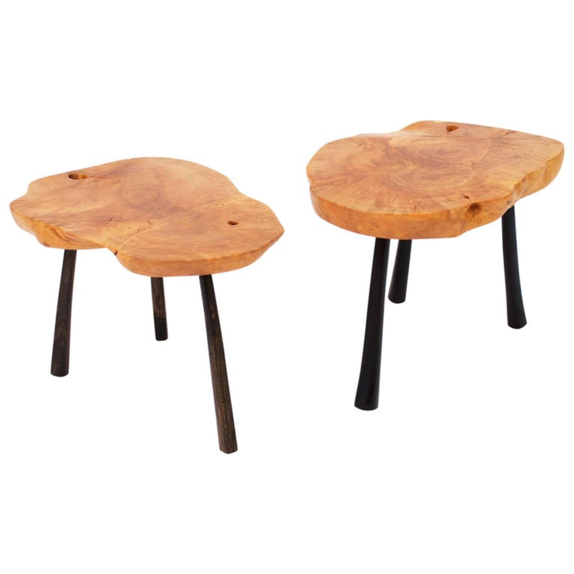 Unique signed pair of tables by Jörg Pietschmann
Twin tables olive, Bog oak. T1315
Measures: H 37 x W 52 x D 39 cm
H 39 x W 55 x D 41 cm
Pale olive on legs made of bog oak.
Polished oil finish.


In Pietschmann’s sculptures, trees that for