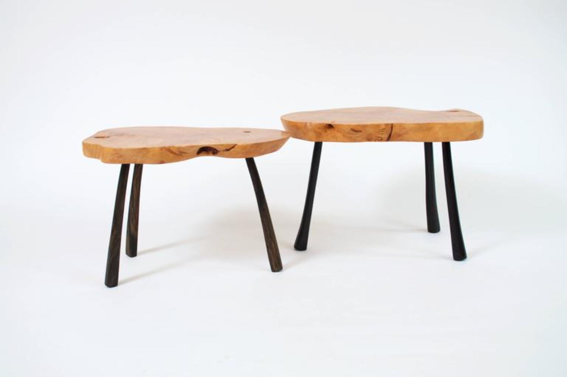 Organic Modern Unique Signed Twin Tables by Jörg Pietschmann For Sale