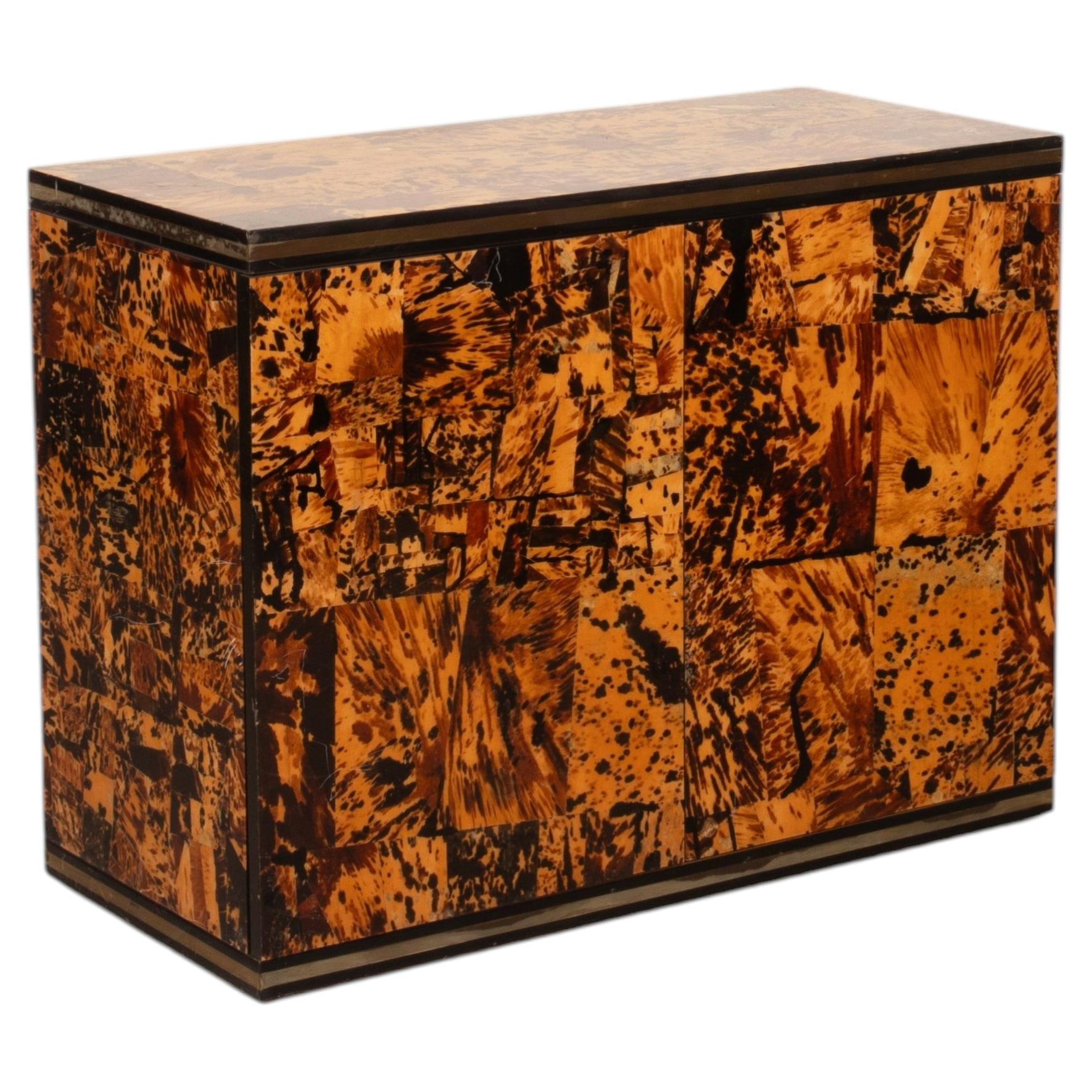 Unique Tortoiseshell Cabinet by Roberto Jodice for Ottini Milano 1974
