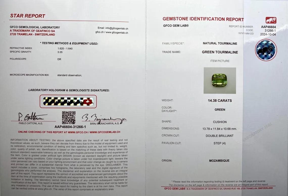 Tourmaline unique du Mozambique de première qualité, certifiée GFCO en vente 5