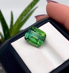 Tormalina unica del Mozambico di alta qualità, certificata GFCO