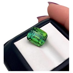 Unique Tourmaline from Mozambique top quality, GFCO Certified