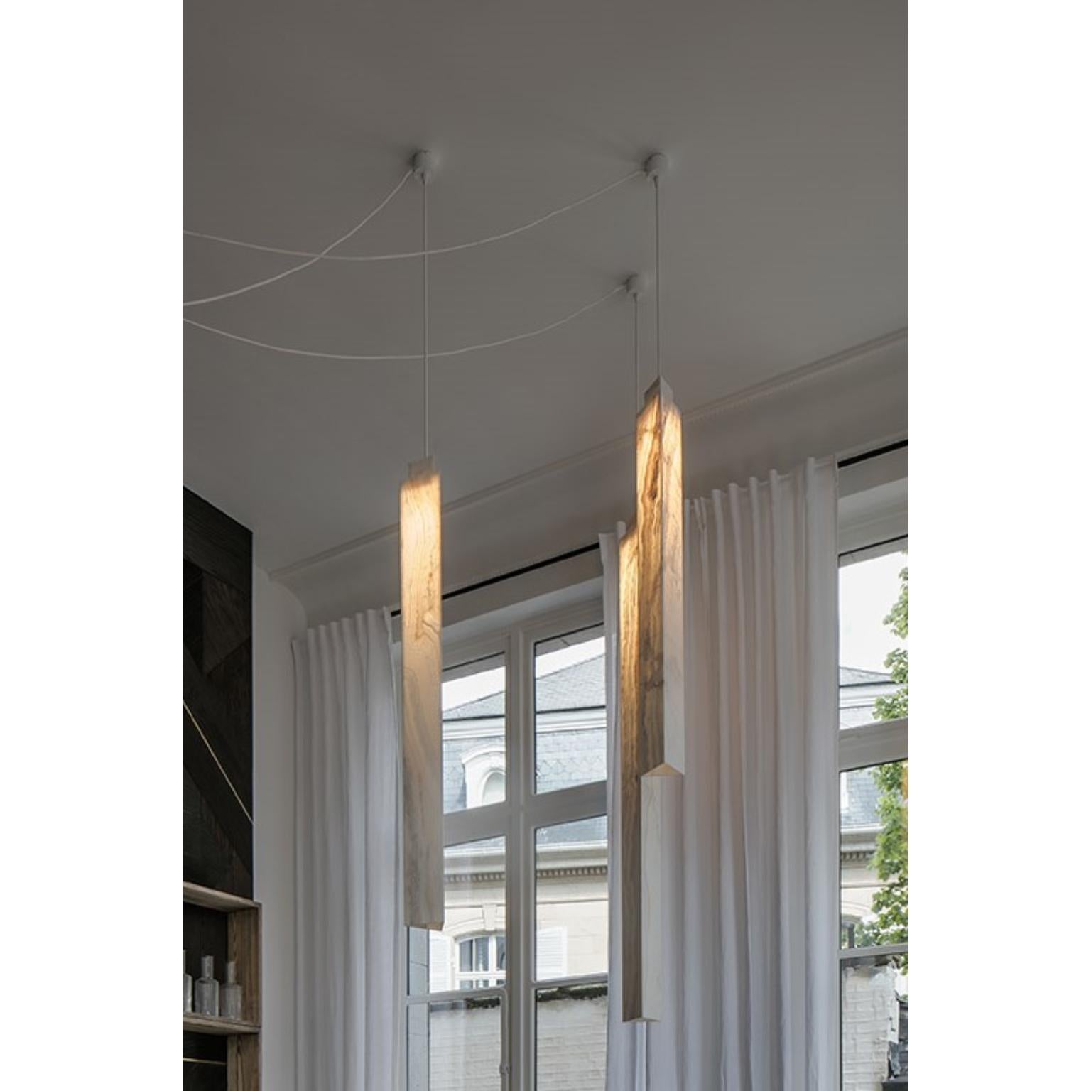 Modern Unique Triangle Pendant Lamp by Koen Van Guijze