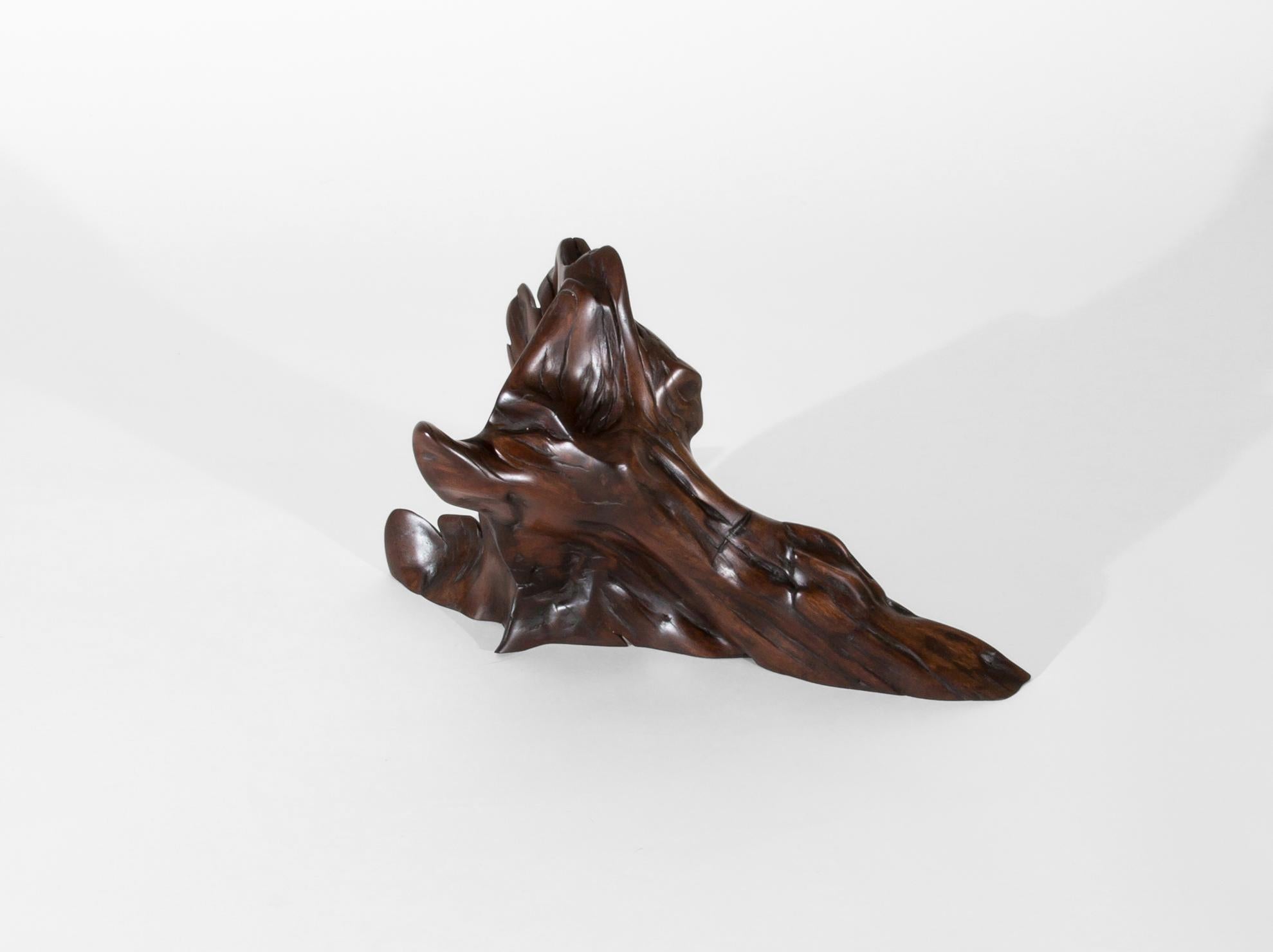 Organic Modern Unique Tropical Driftwood Sculpture Signed by Jörg Pietschmann