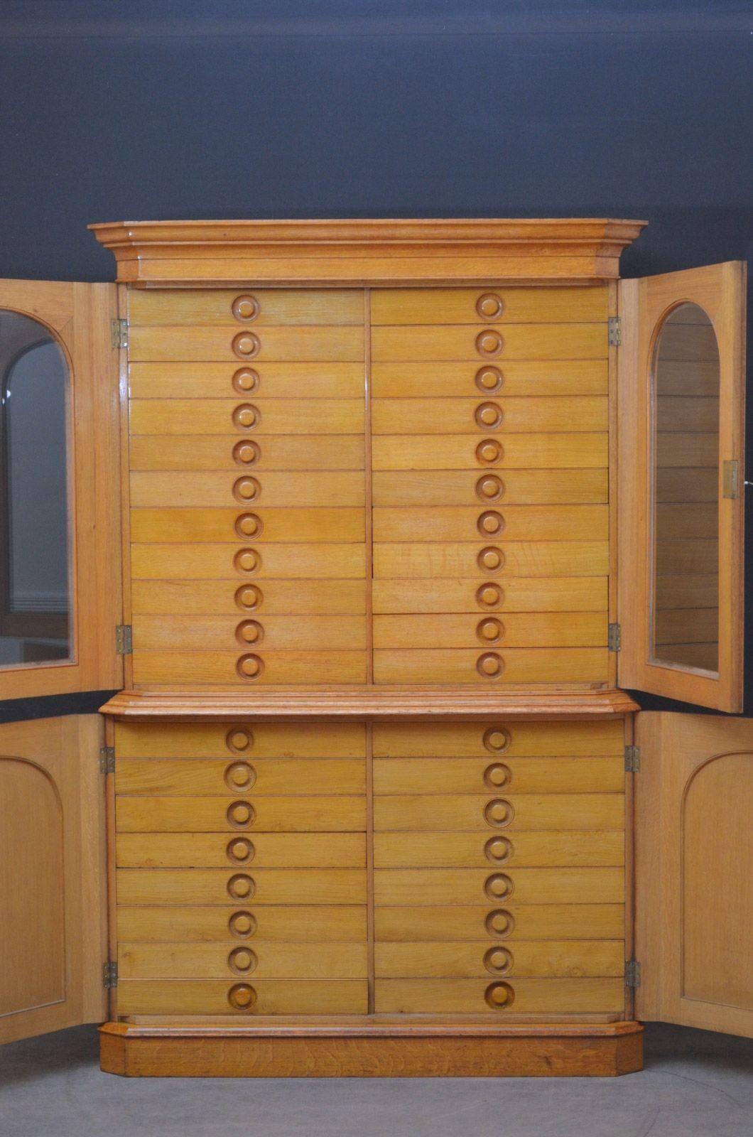 Unique Victorian Reformed Gothic Specimen Cabinet in Oak For Sale 6