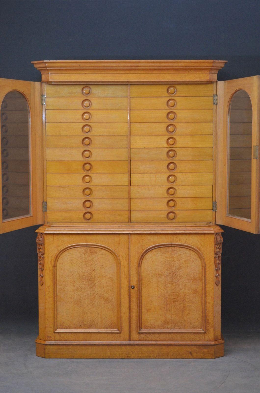 Unique Victorian Reformed Gothic Specimen Cabinet in Oak For Sale 7
