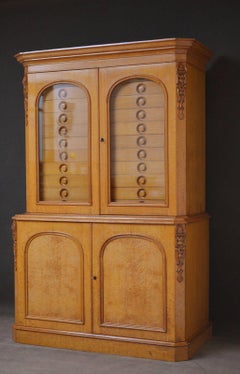 Unique Victorian Reformed Gothic Specimen Cabinet in Oak