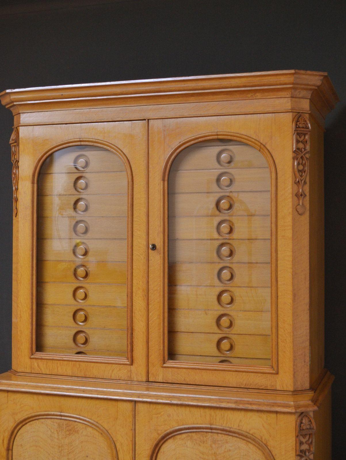 Mid-19th Century Unique Victorian Reformed Gothic Specimen Cabinet in Oak For Sale