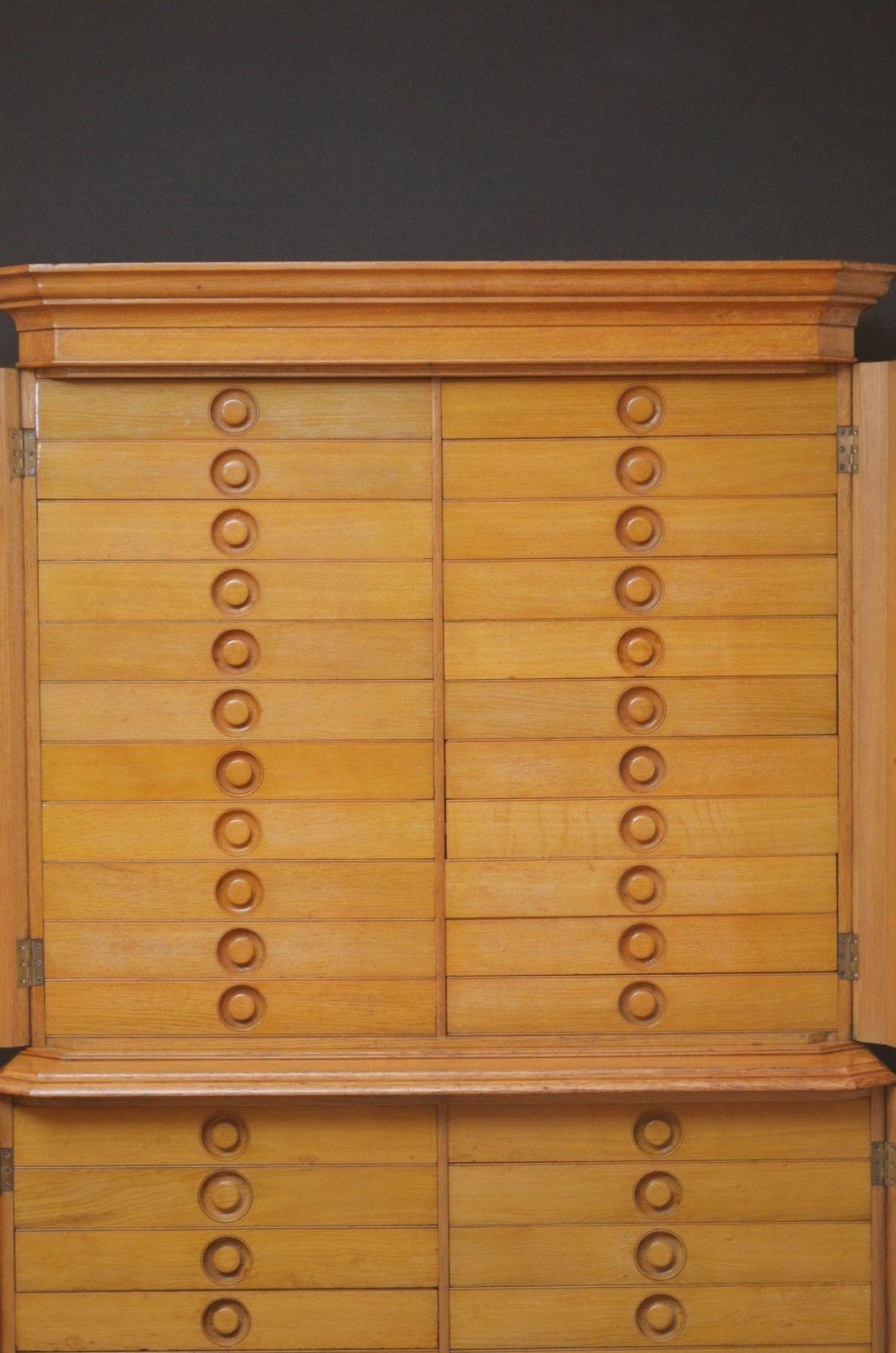 Armadietto per esemplari in stile gotico riformato vittoriano, unico nel suo genere, in Oak in vendita 2