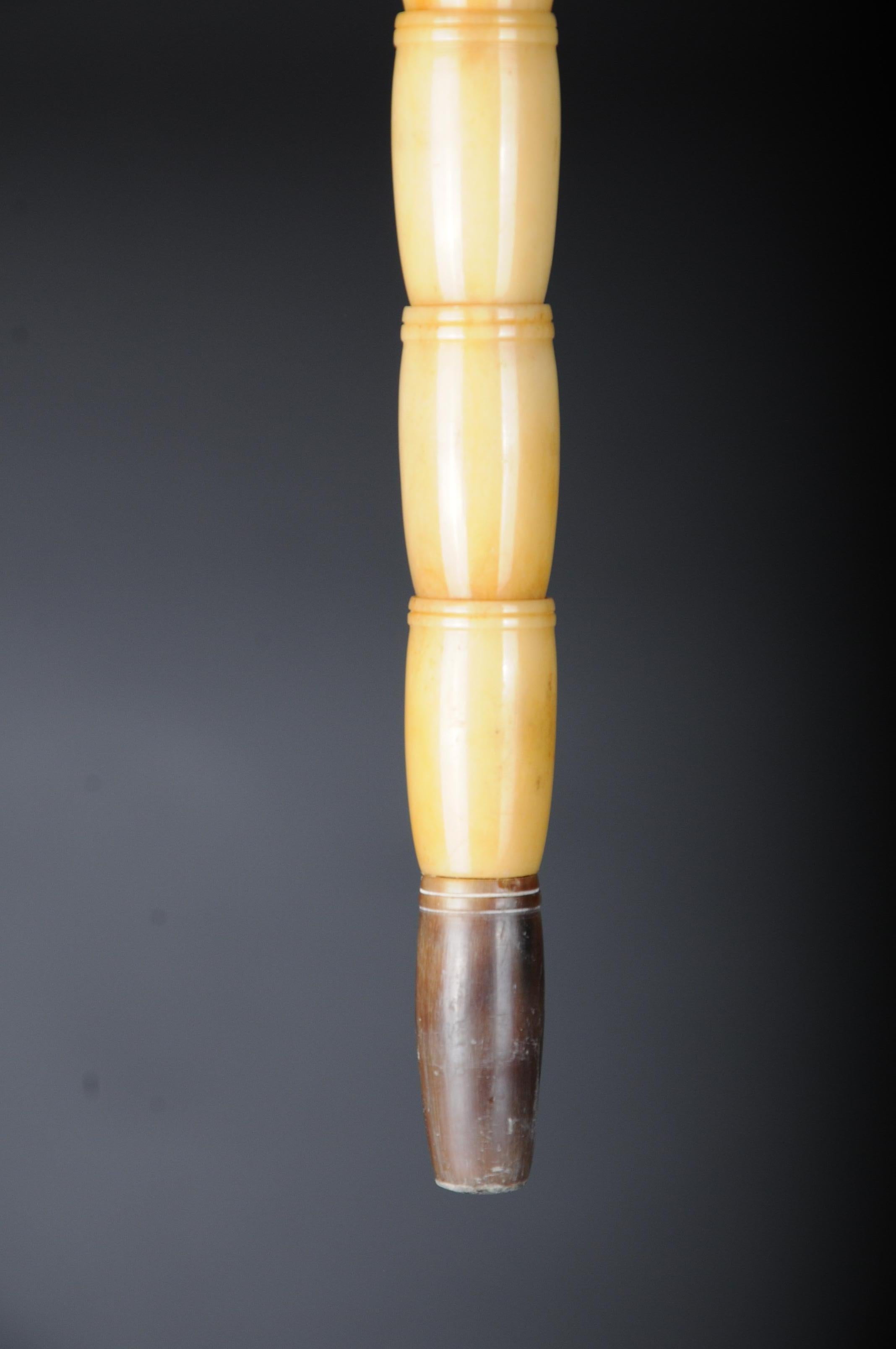 Unique Walking Stick / Strolling Stick 19th Century, Bone For Sale 6
