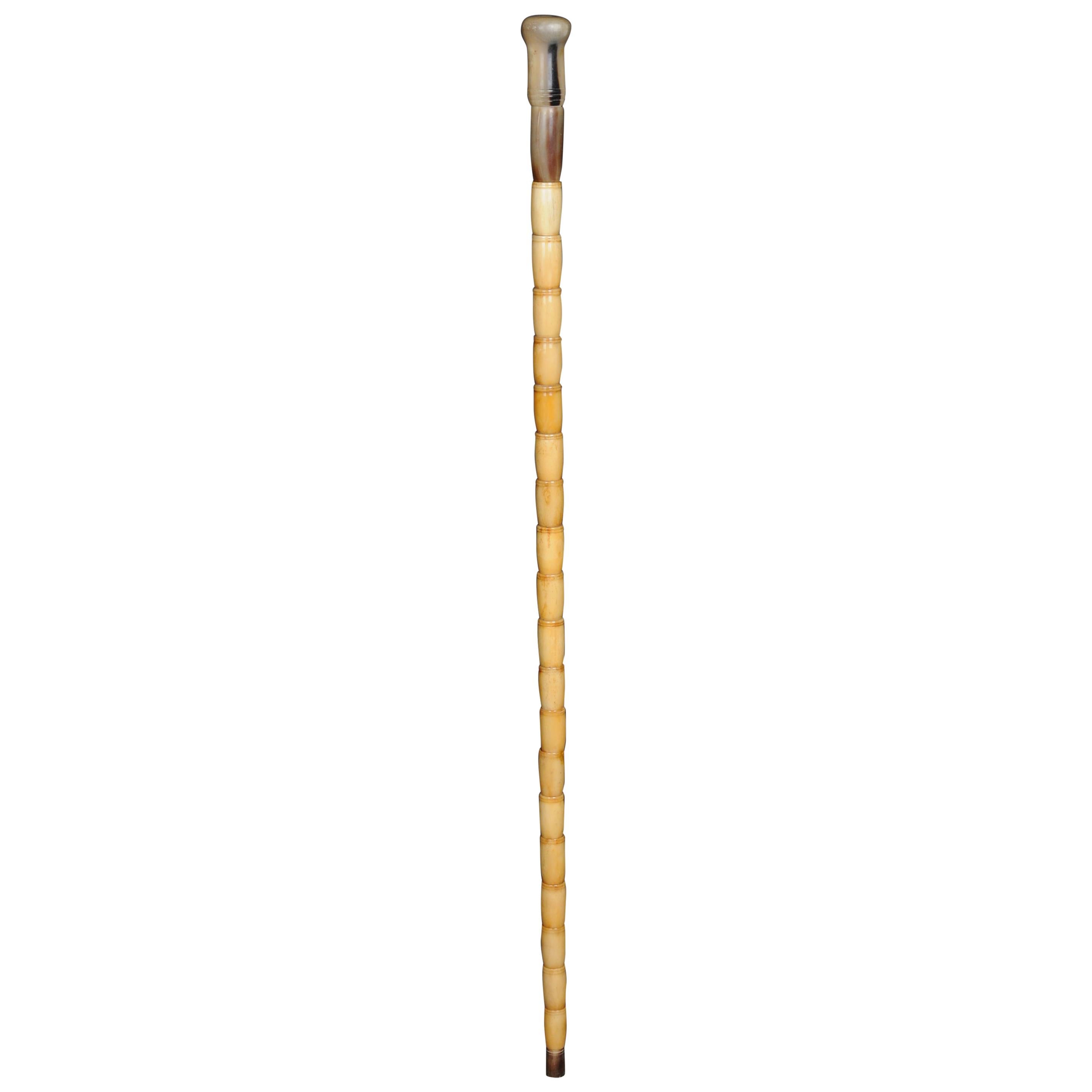 Unique Walking Stick / Strolling Stick 19th Century, Bone For Sale