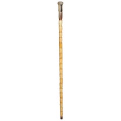 Stick de marche / bâton de promenade unique du 19ème siècle, os